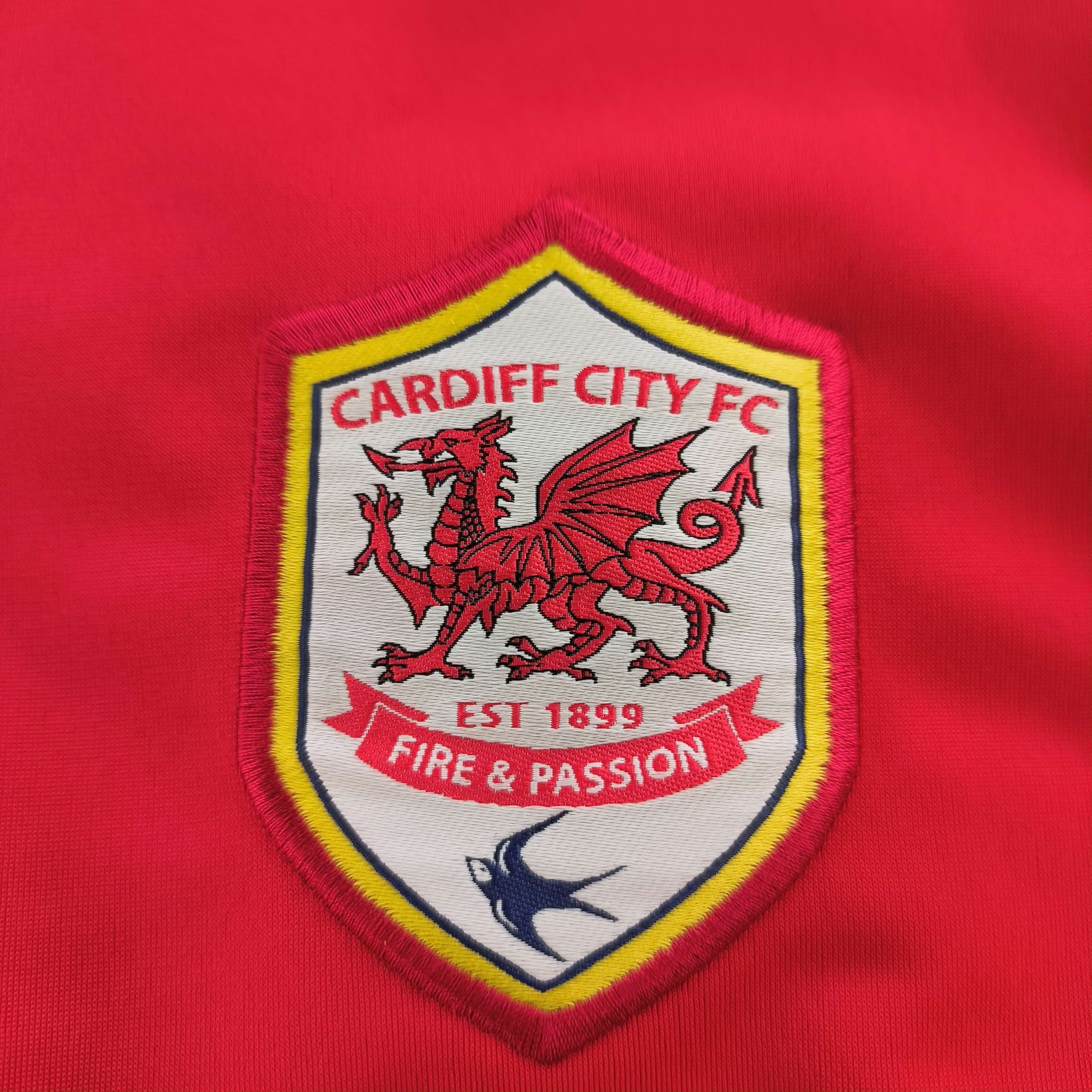 Puma Cardiff City 2010-11 Puma football training top size M Size US M / EU 48-50 / 2 - 3 Thumbnail