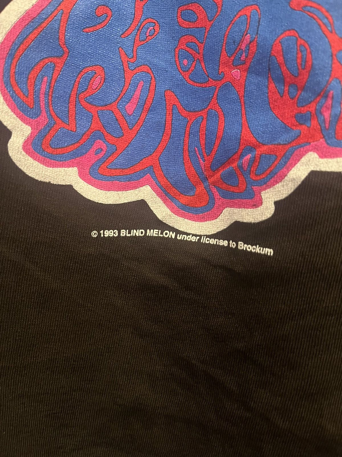 Band Tees 1993 Blind Melon Band tshirt (READ DESCRIPTION) Size US L / EU 52-54 / 3 - 3 Thumbnail