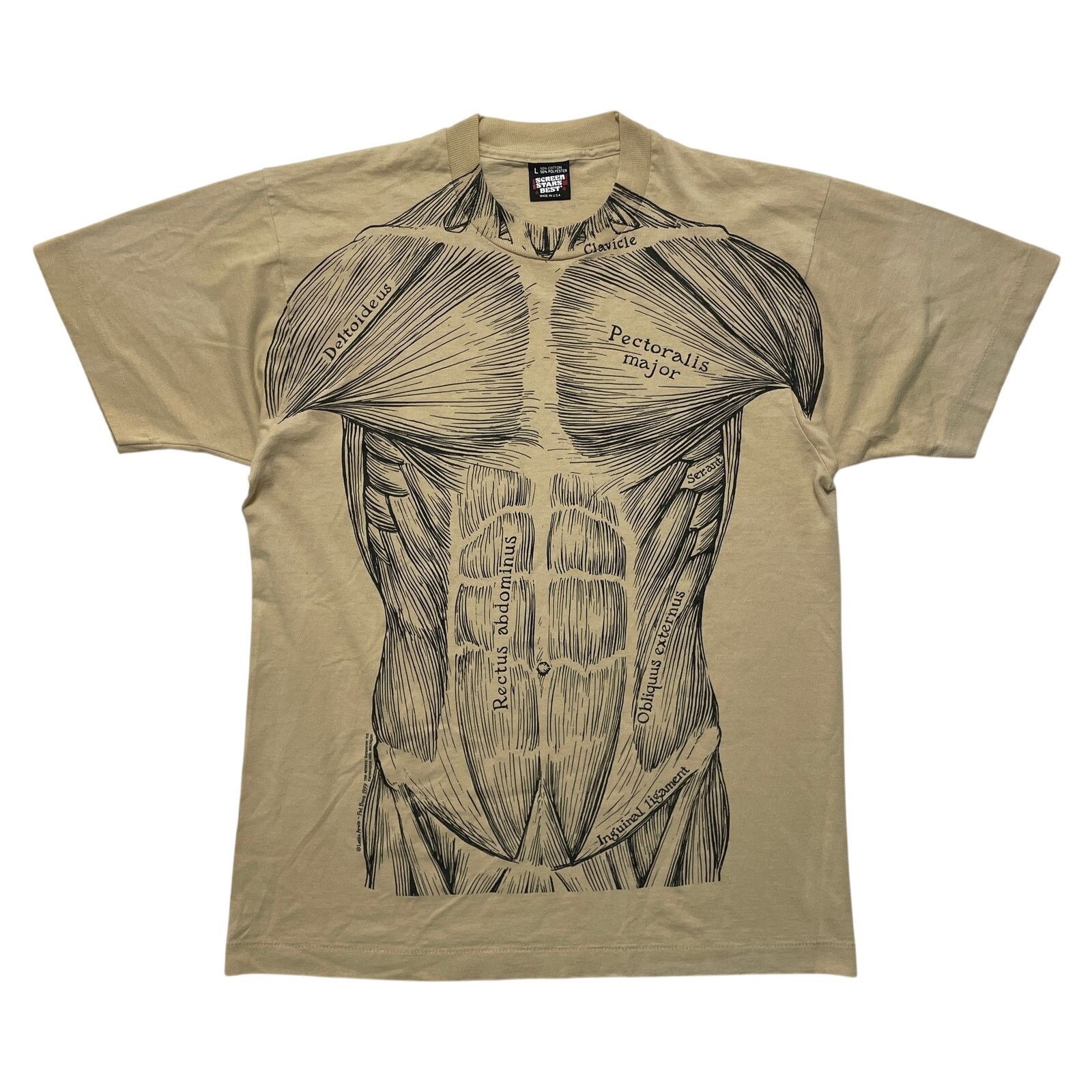 Vintage VTG 80's 1977 Leslie Arwin Muscle Anatomy Beige T-Shirt L Size US L / EU 52-54 / 3 - 1 Thumbnail