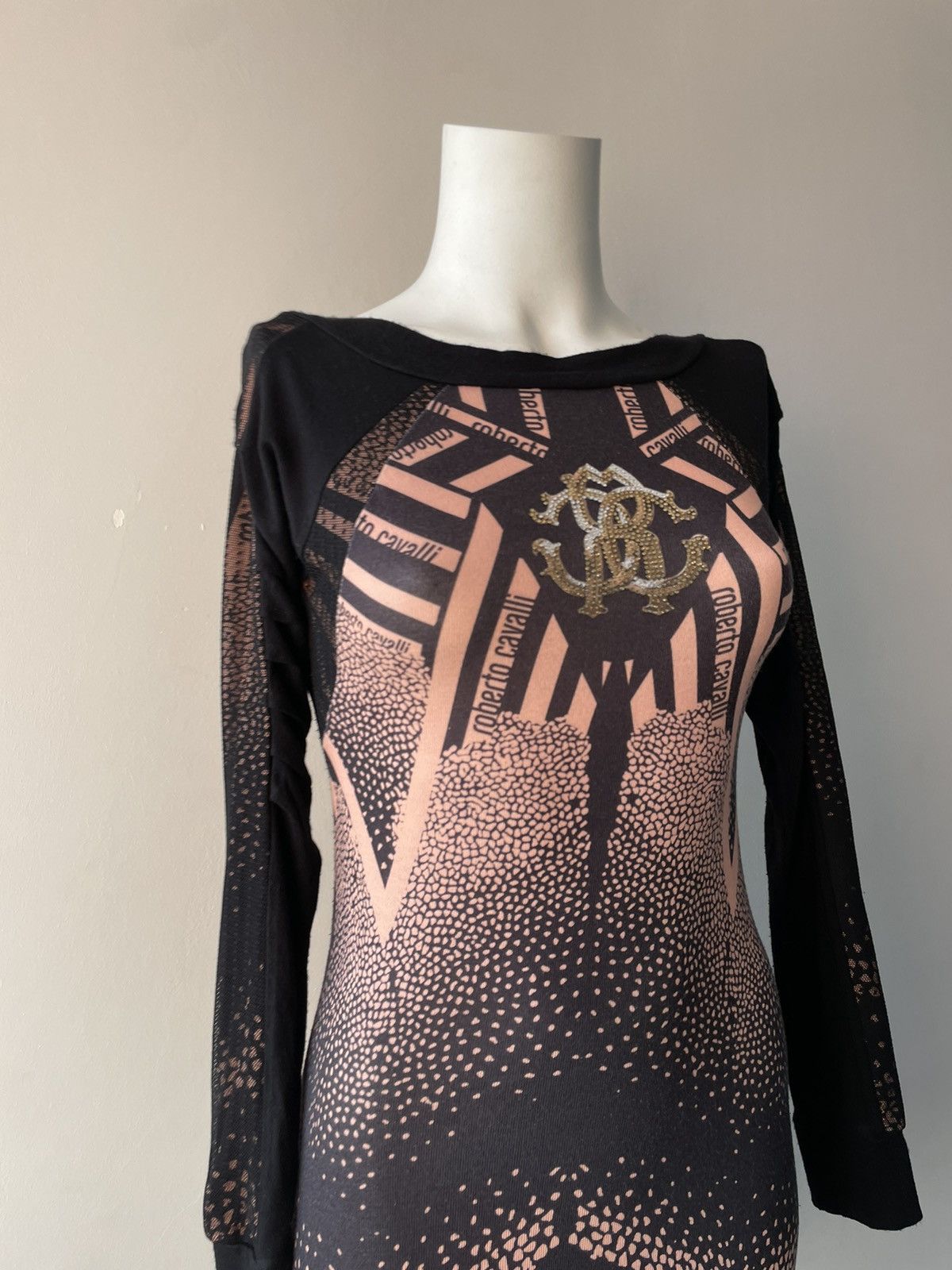 Roberto Cavalli Roberto Cavalli dress Size S / US 4 / IT 40 - 8 Thumbnail