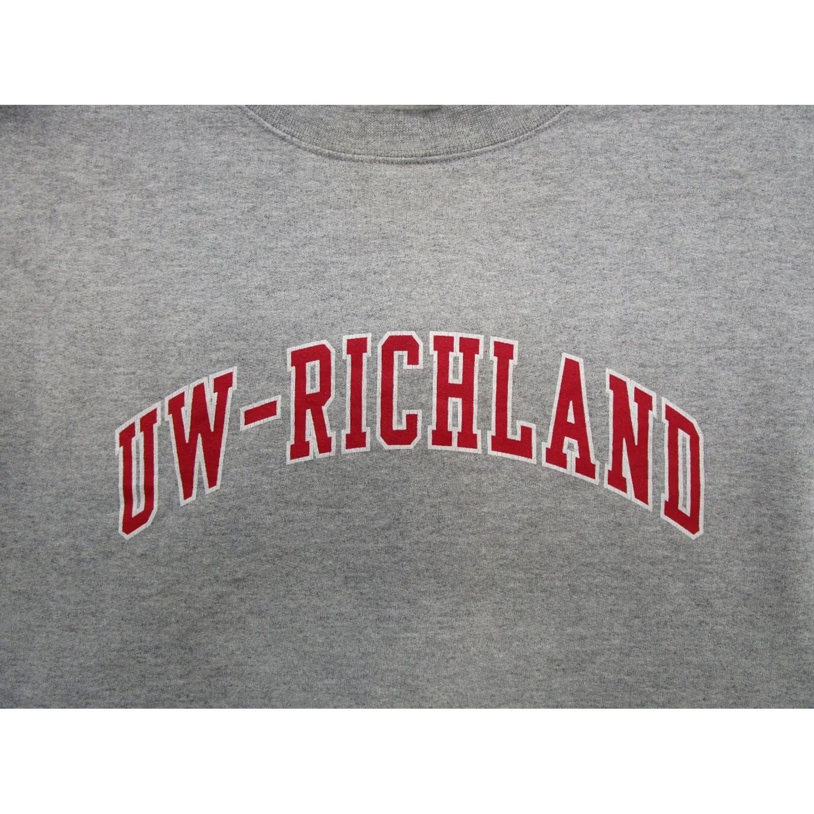 Champion VTG Y2K University of Wisconsin Richland UWR Sweatshirt Champion Eco Size M NCAA Mens Gray Hoodie Pullover University Theme All Seasons Hooded Size US M / EU 48-50 / 2 - 2 Thumbnail