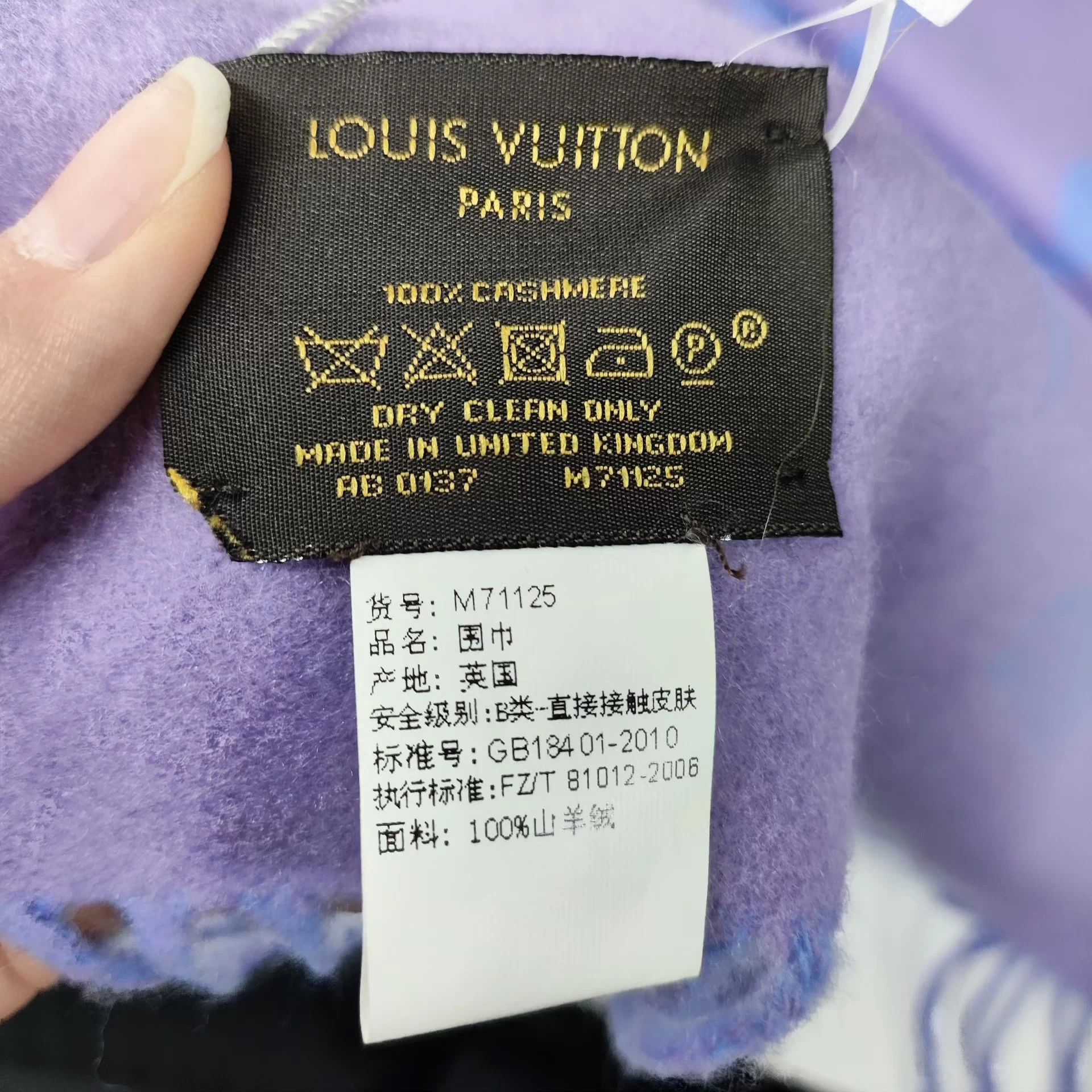 Louis Vuitton LV cashmere scarf color blocked Size ONE SIZE - 3 Thumbnail