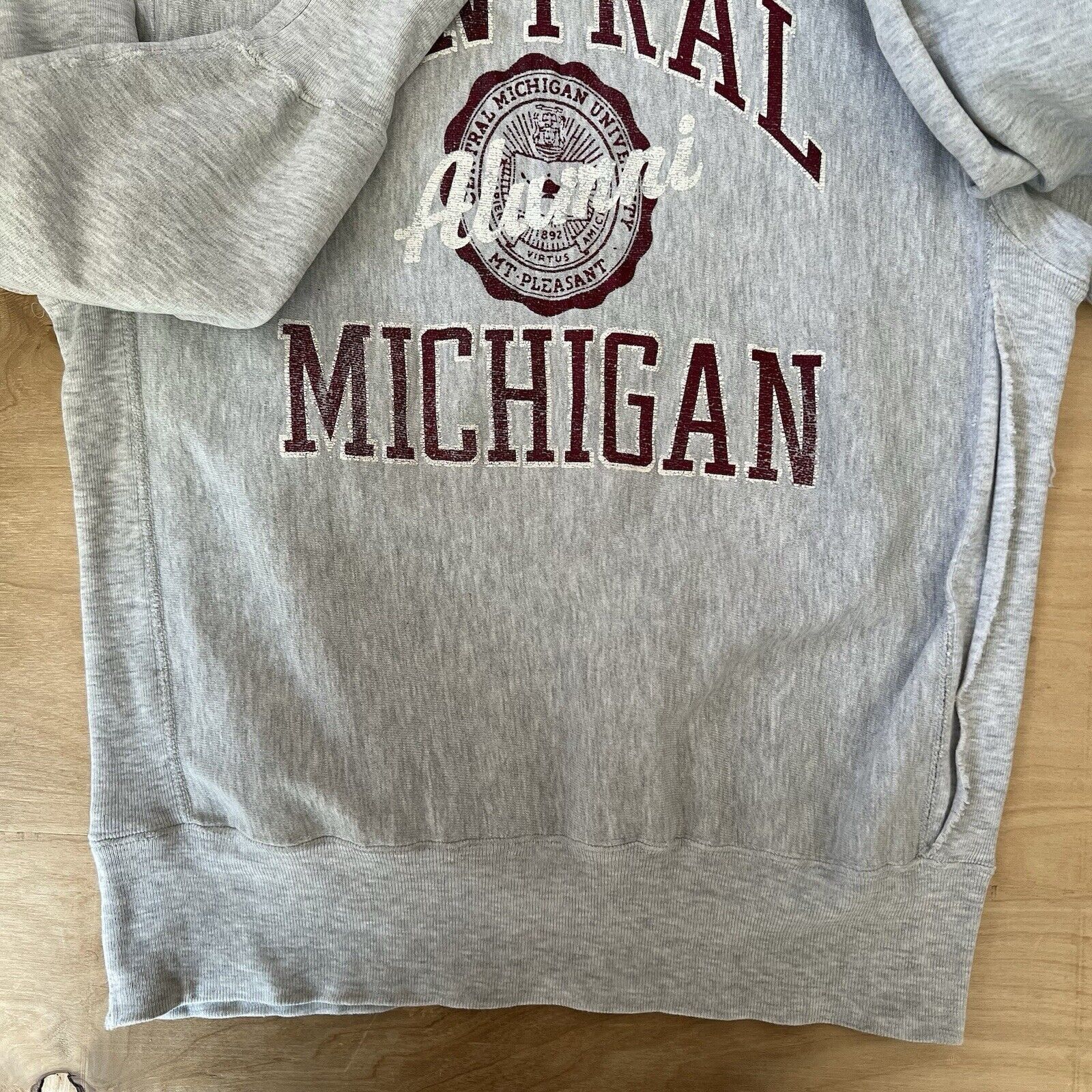 Champion × Vintage Vintage Central Michigan Sweatshirt XL Gray 90s Champion Size US XL / EU 56 / 4 - 6 Thumbnail