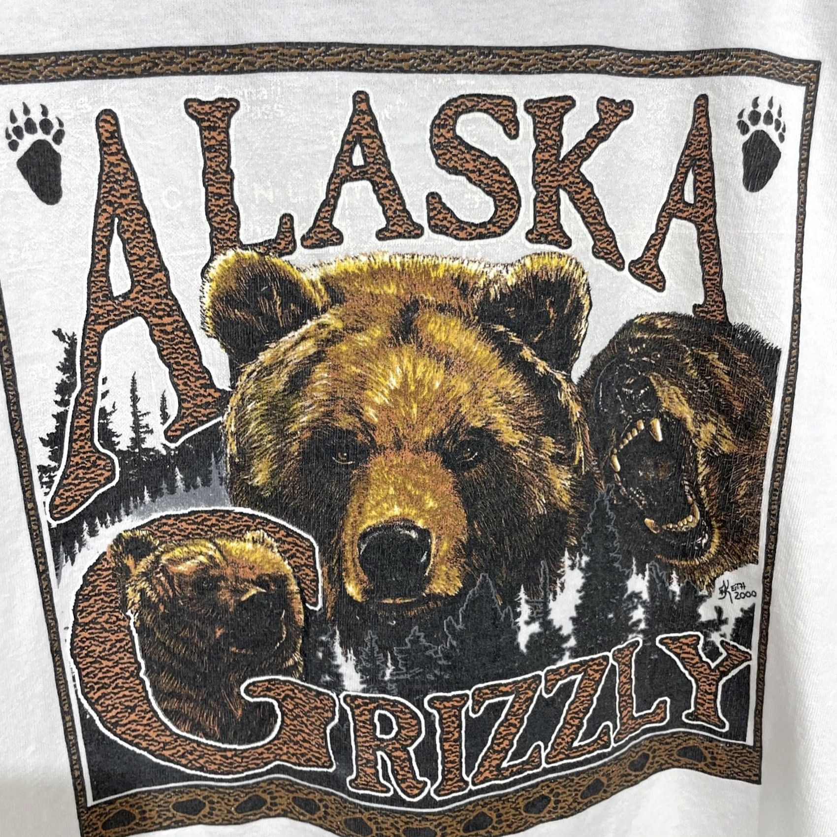 Anvil VINTAGE Alaska Grizzly Bear T Shirt White Mens Large 90s Graphic Print Logo Crew Neck Short Sleeve Cotton Anvil Classic Style Souvenir Size US L / EU 52-54 / 3 - 5 Thumbnail