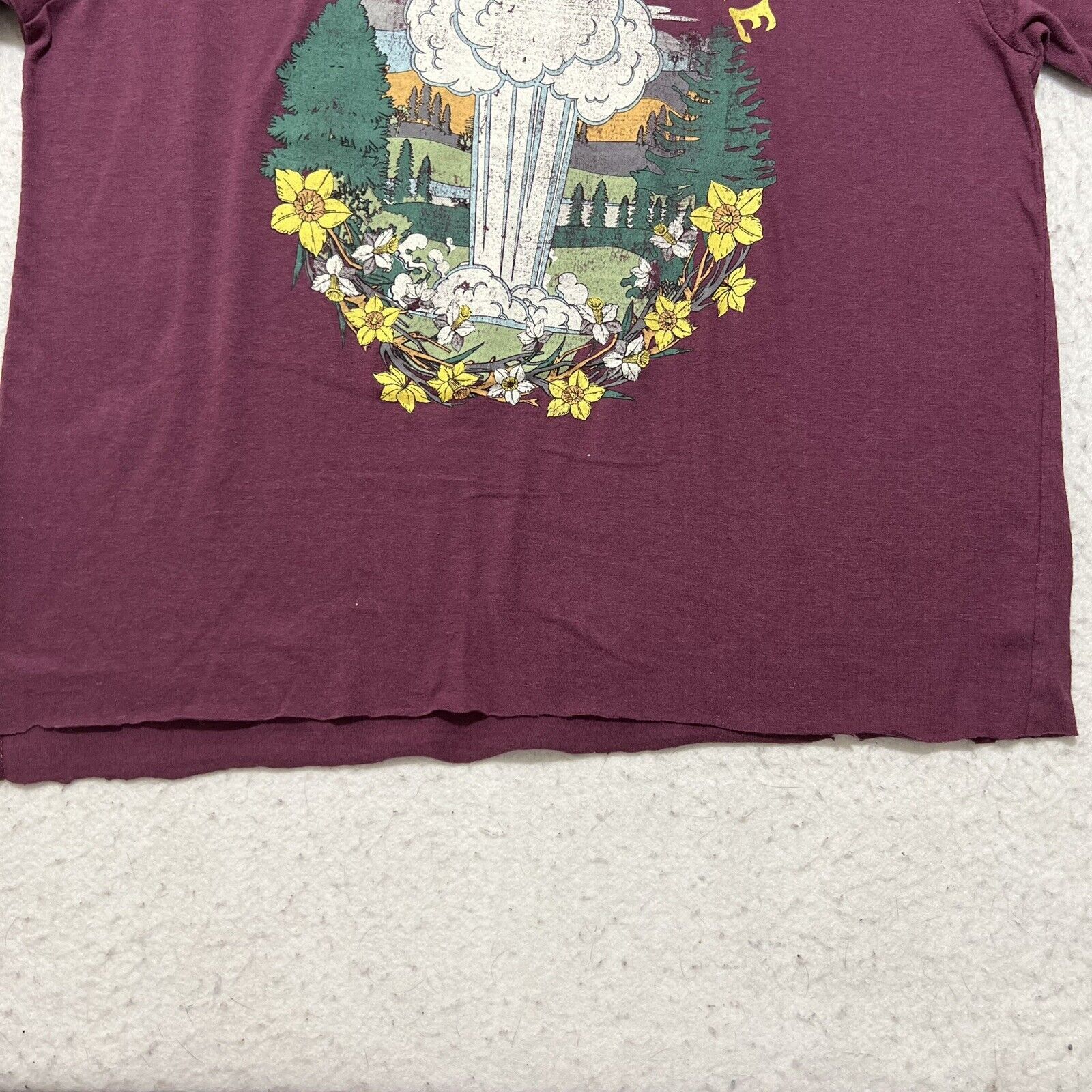 Other National Park Foundation Yellowstone Small Graphic T Shirt Size S / US 4 / IT 40 - 5 Thumbnail