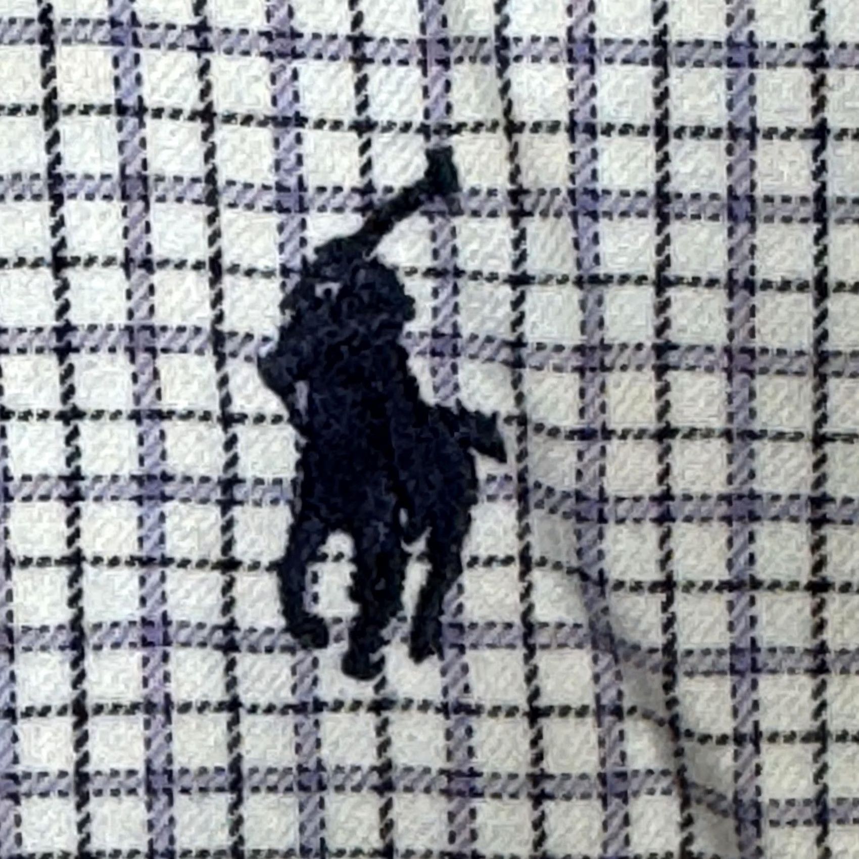 Ralph Lauren Ralph Lauren Shirt Mens 16 34/35 Lavender Check Yarmouth Button Down Long Sleeve Size US L / EU 52-54 / 3 - 7 Thumbnail