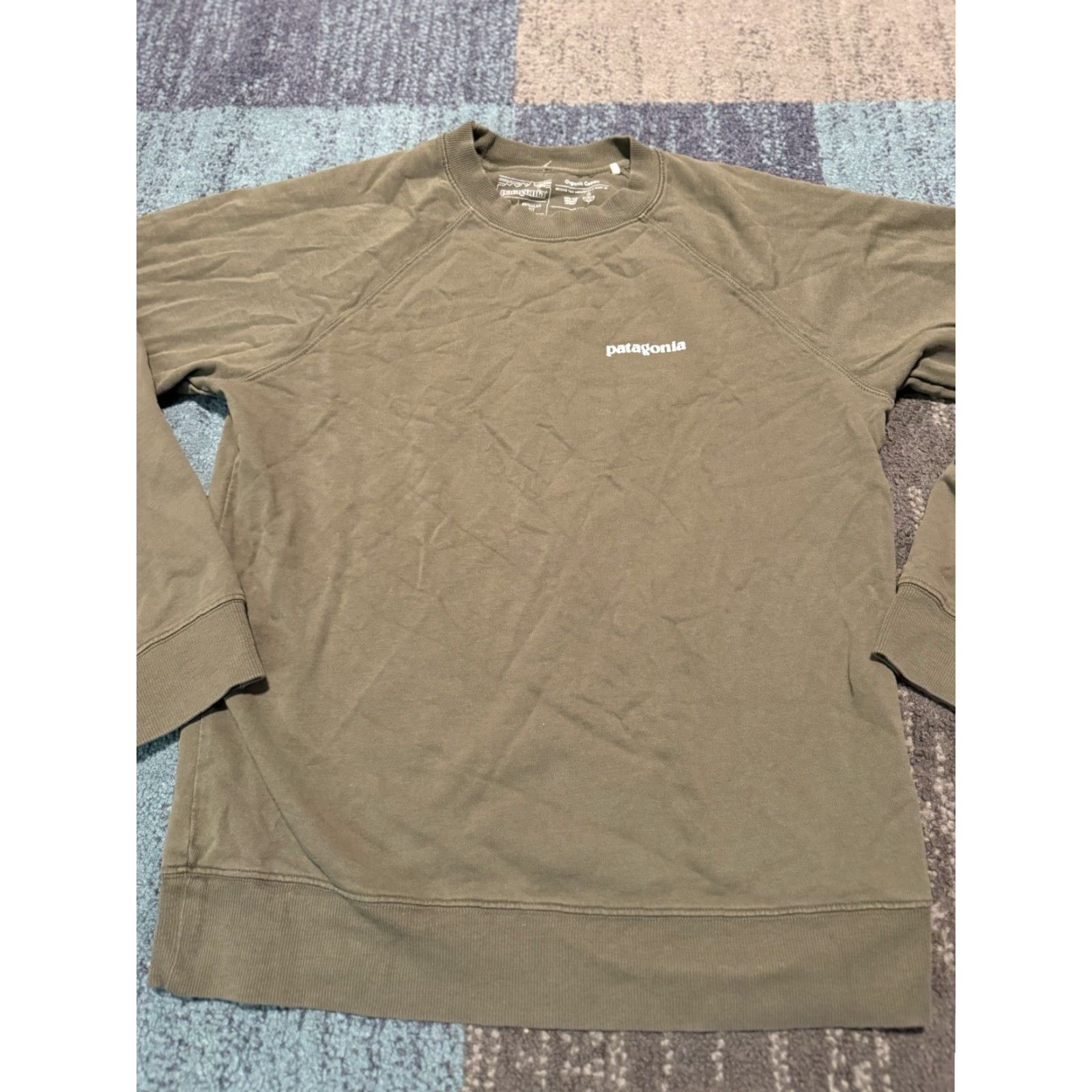 Patagonia Patagonia Sweatshirt Mens Small Green P-6 Logo Organic Crew French Terry Size US S / EU 44-46 / 1 - 2 Thumbnail
