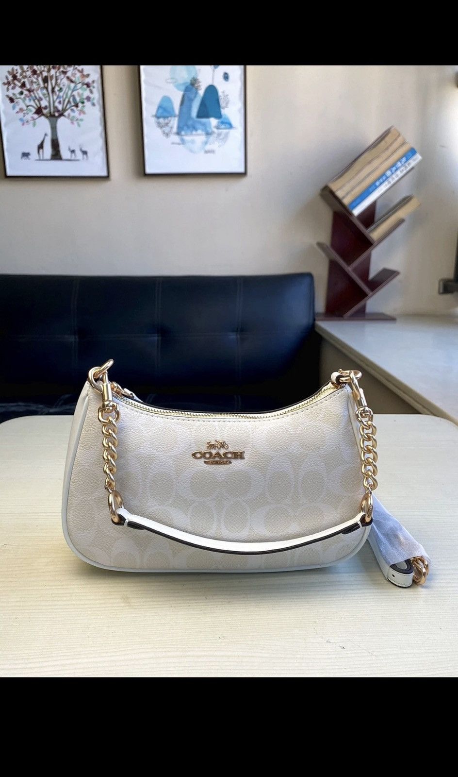 Coach Coach Teri 2-Way Shoulder Bag Leather Size ONE SIZE - 1 Thumbnail