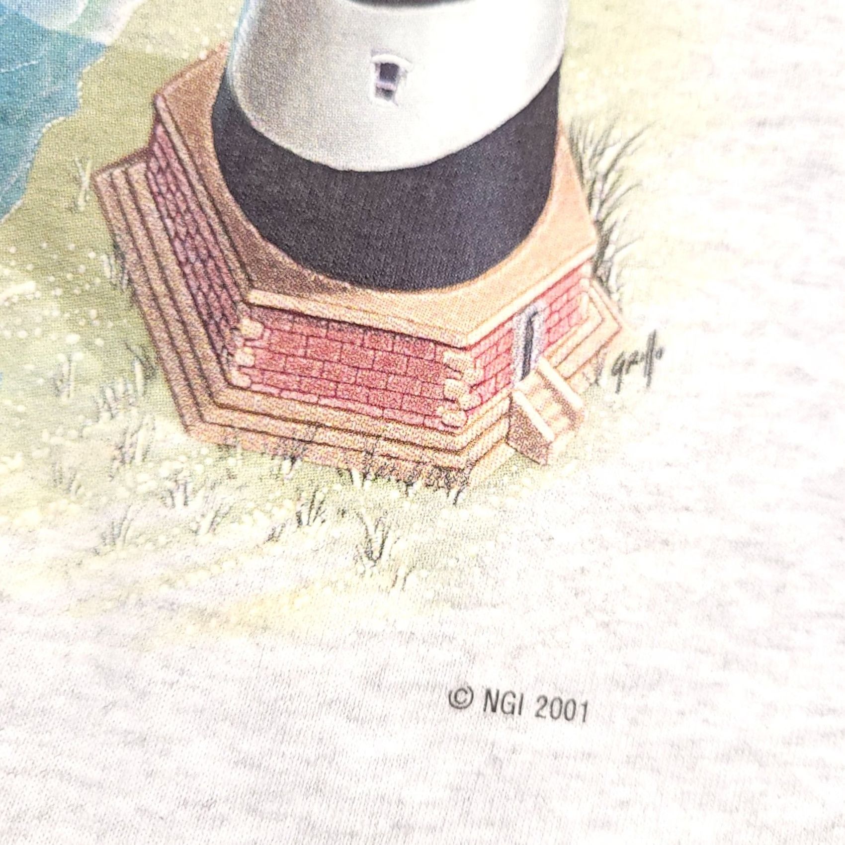 Anvil VINTAGE Y2K Nature Art Shirt Florida Mens XL Sleeveless Tank Lighthouse Beach USA Shirt Size XL / US 12-14 / IT 48-50 - 5 Thumbnail