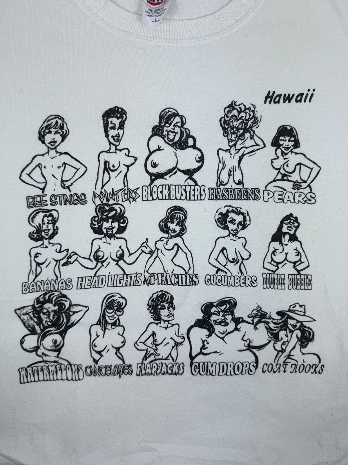 Anvil BOOBS GRAPHIC HAWAII PRINT T-SHIRT Size US L / EU 52-54 / 3 - 3 Thumbnail