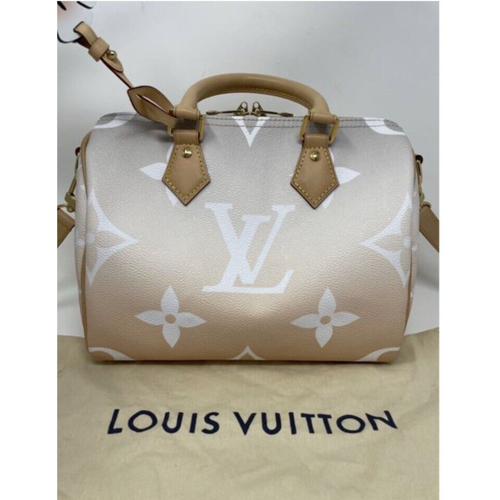 Louis Vuitton Louis Vuitton Speedy 25 Bandouliere Summer By The Pool Mist Size ONE SIZE - 3 Thumbnail