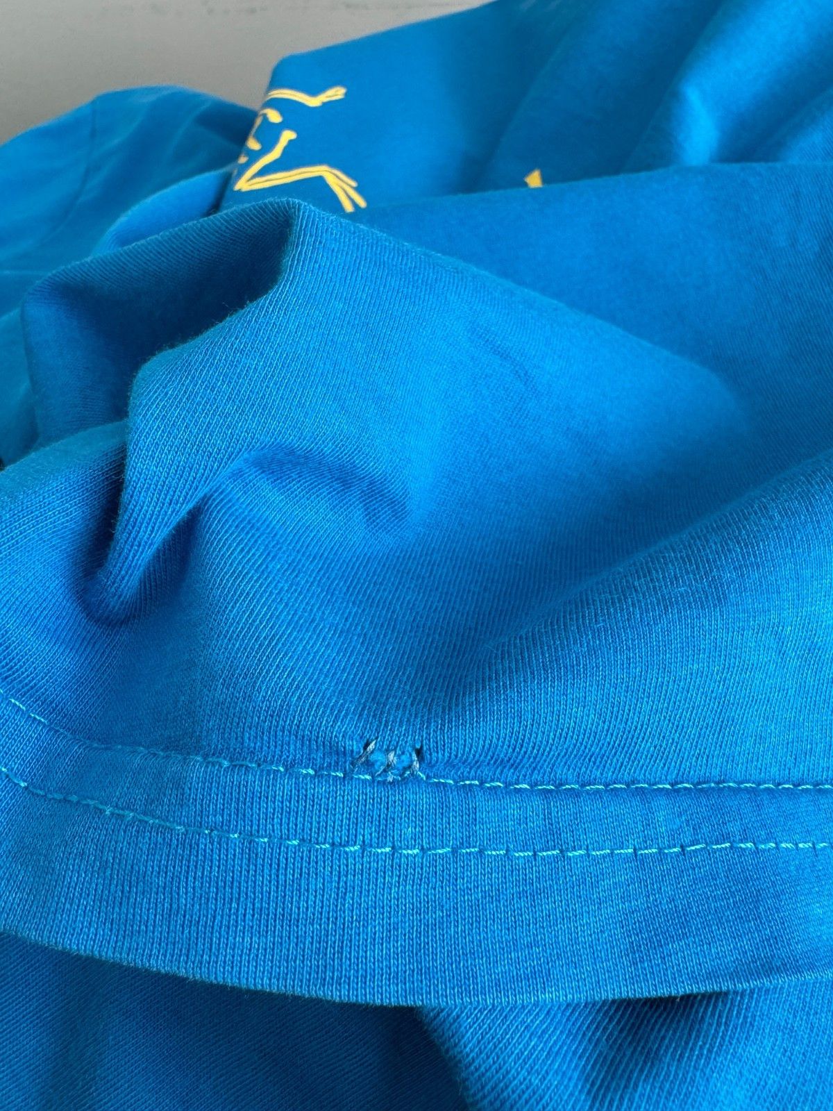 Arc'teryx ARCTERYX Bird Big Logo Blue T-Shirt Size US L / EU 52-54 / 3 - 7 Thumbnail