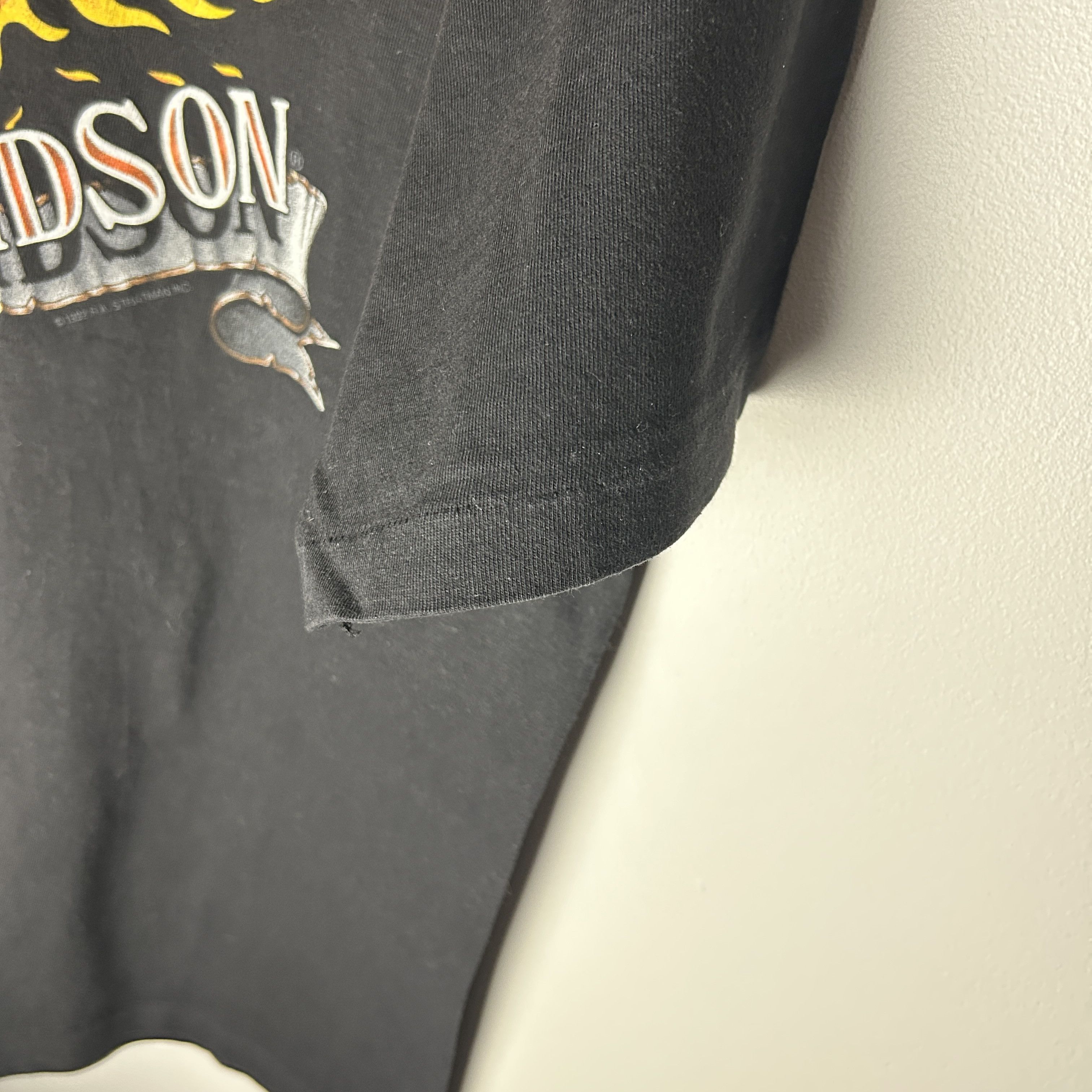Harley Davidson Harley Davidson Flaming Eagle 1992 T-shirt Size US L / EU 52-54 / 3 - 6 Thumbnail