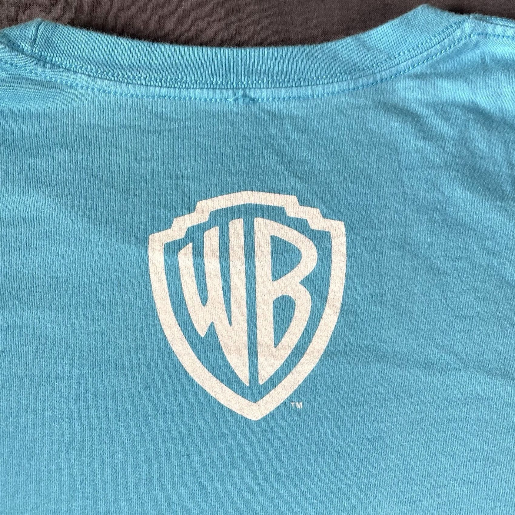 DC Comics Teen Titans Shirt Men’s L Warner Bros Promo Shirt Kano Design Art DC Comics Blue Shirt Mens L Size US L / EU 52-54 / 3 - 6 Thumbnail