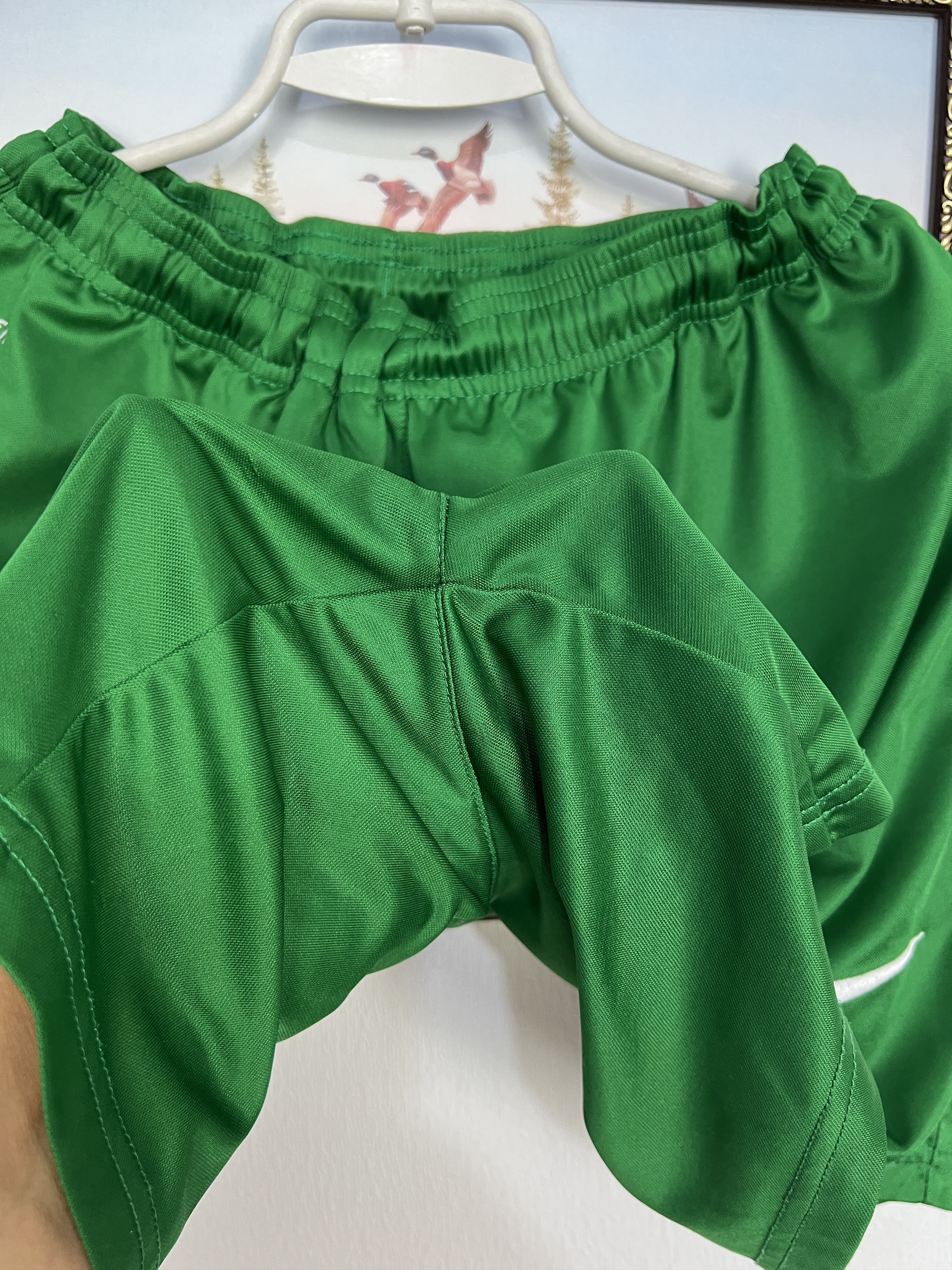 Nike Nike Dynamo Dresden Football Shorts Soccer Green Athletic L Size US 34 / EU 50 - 7 Thumbnail