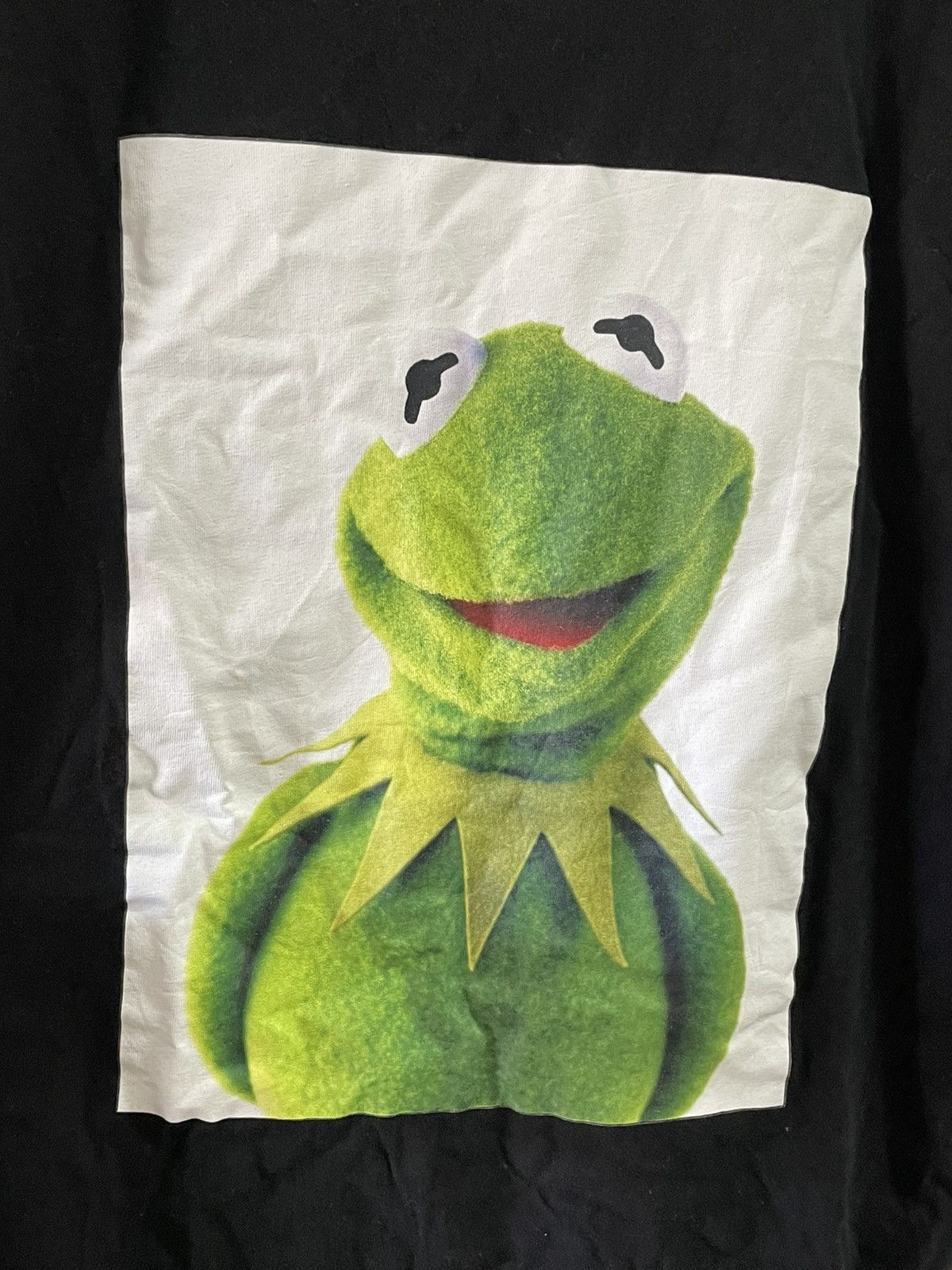 Disney 2017 The Muppets Photo Tee Shirt (Medium Size) Size US M / EU 48-50 / 2 - 5 Thumbnail
