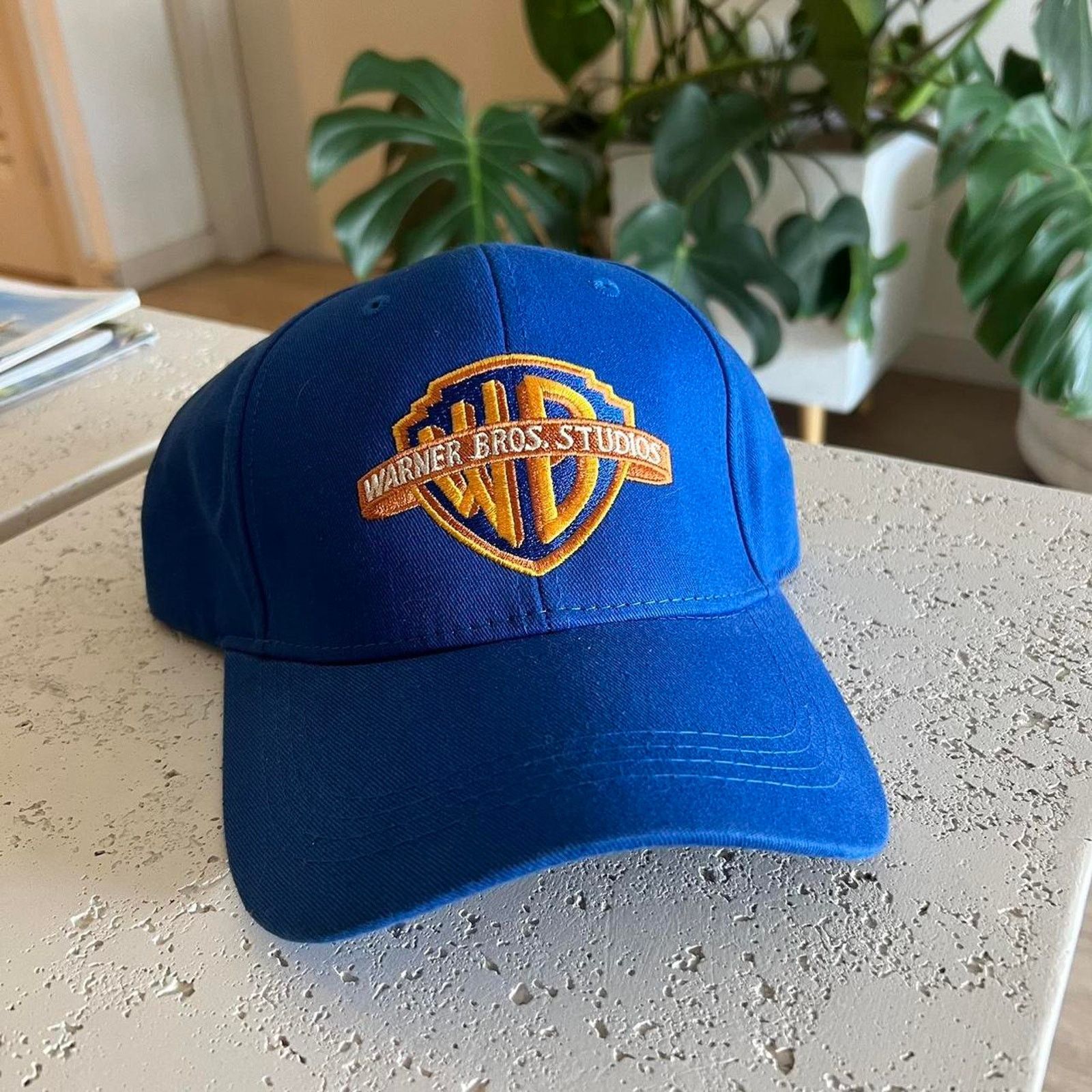 Warner Bros Blue classic warner bros hat Size ONE SIZE - 1 Thumbnail