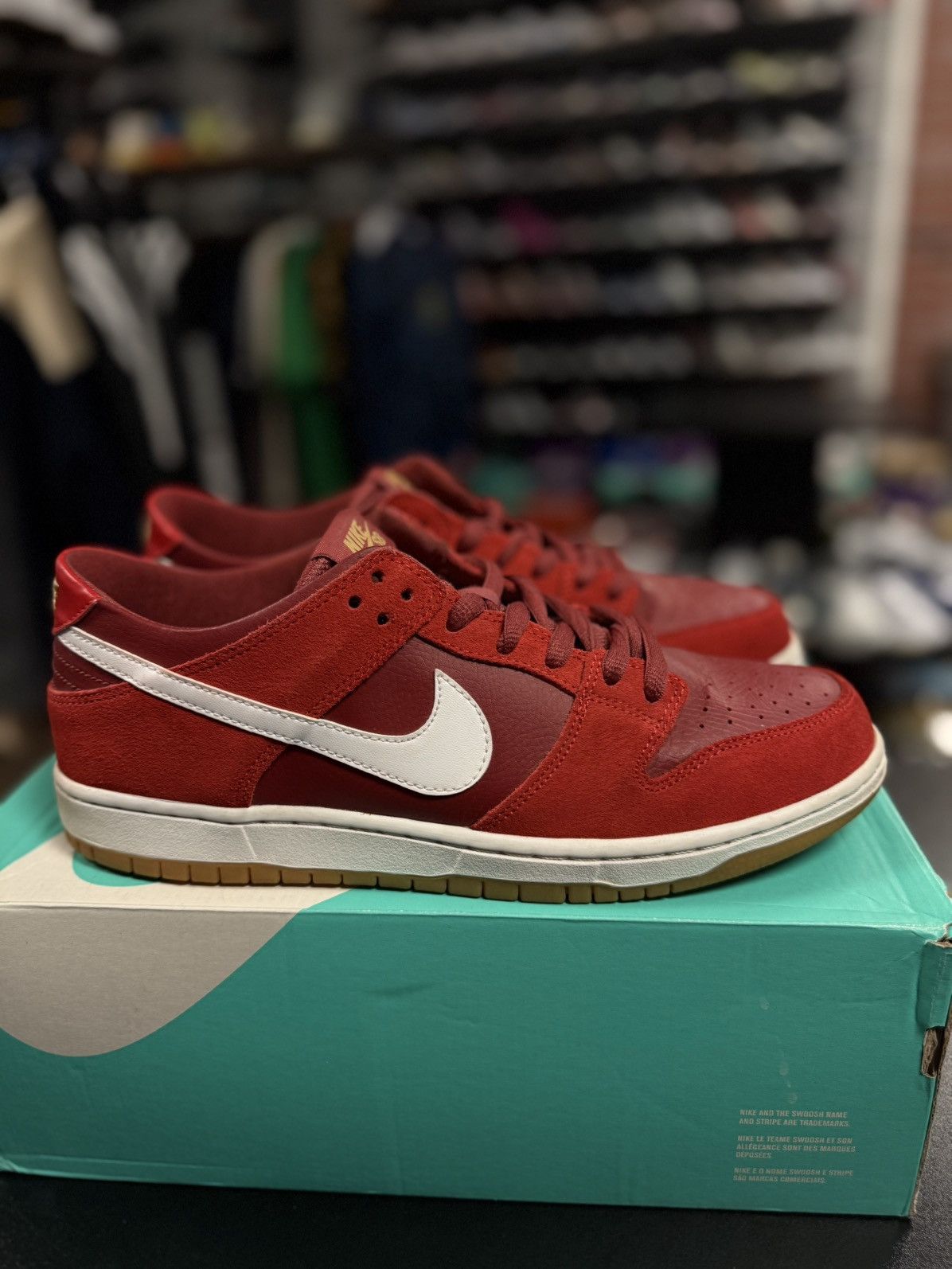 11 - Nike Zoom Dunk Low Pro SB 'Track Red' 854866-616