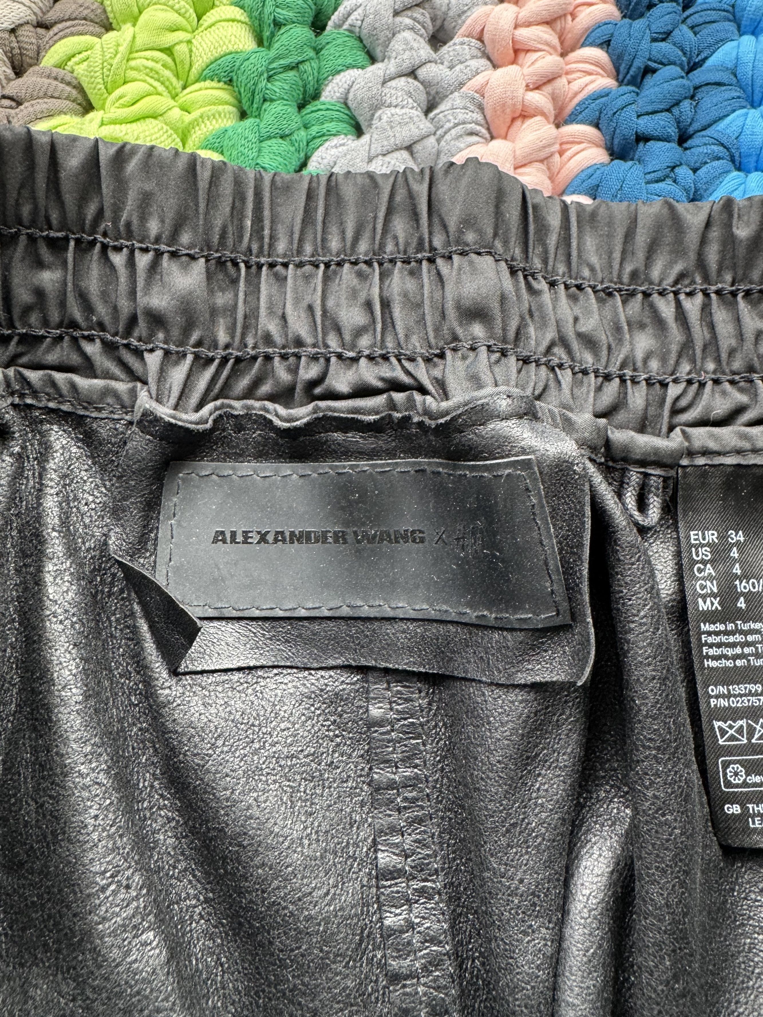 Alexander Wang Alexander Wang x H&M Leather Pants (V159) Size 27" / US 4 / IT 40 - 3 Thumbnail