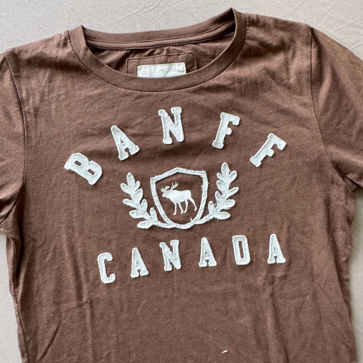 Vintage Y2K Banff National Park Slim Fit Tee Size S / US 4 / IT 40 - 3 Thumbnail