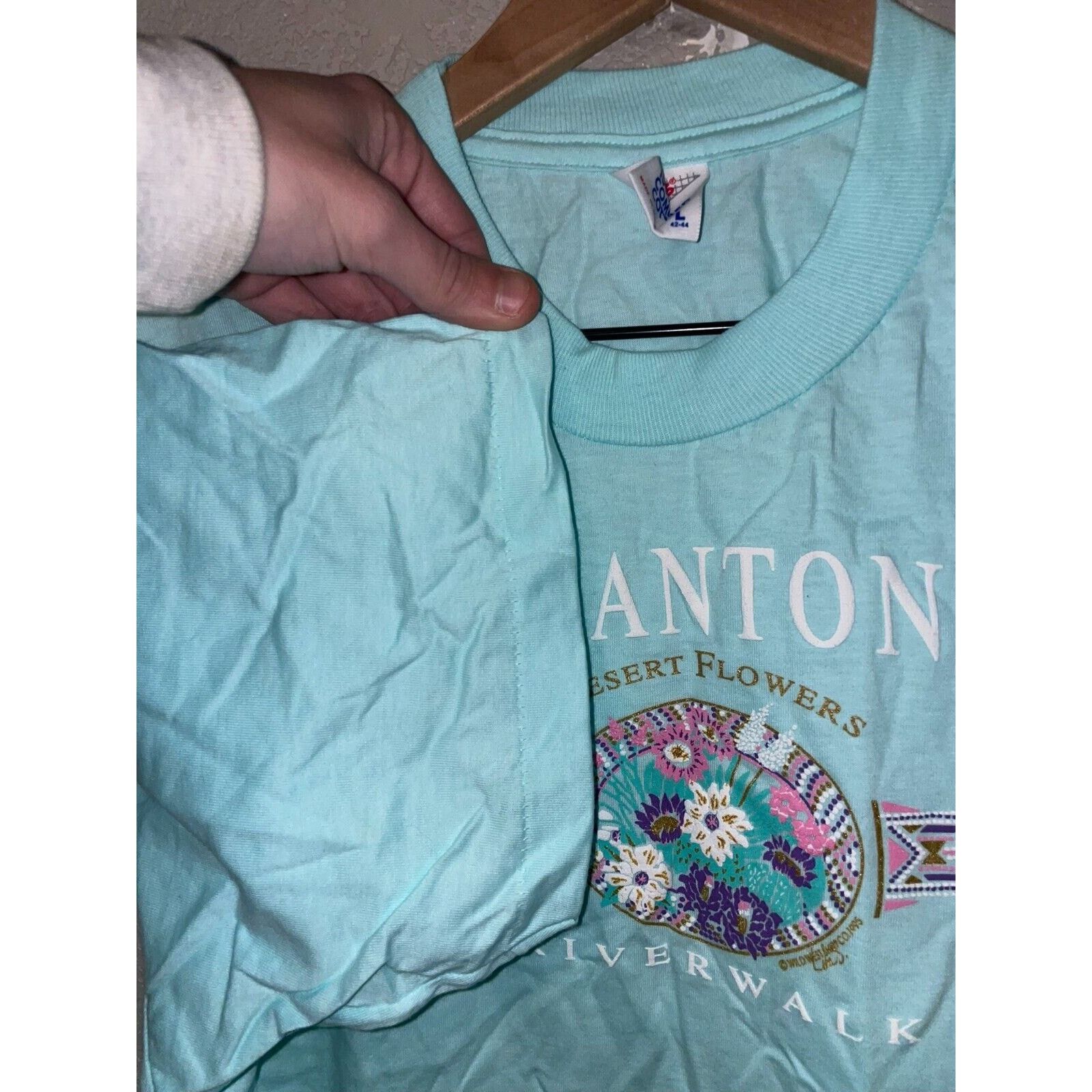 Jerzees Vintage Riverwalk Shirt San Antonio Desert Flower Tee 90s L Size US L / EU 52-54 / 3 - 7 Thumbnail