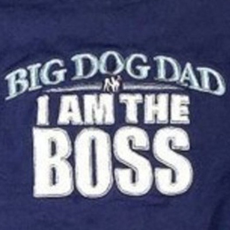 Big Dogs Big Dogs Blue Sweater | Size XL Size US XL / EU 56 / 4 - 2 Thumbnail