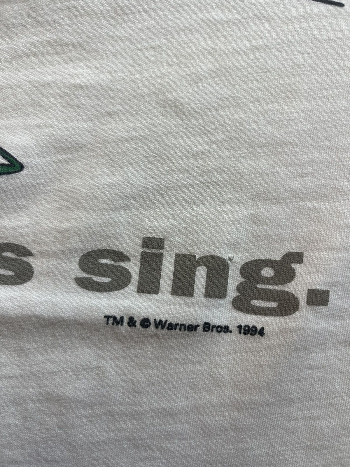 Warner Bros Vintage The WB Television Net Work When Frogs Sing 94’s Size US XL / EU 56 / 4 - 10 Thumbnail