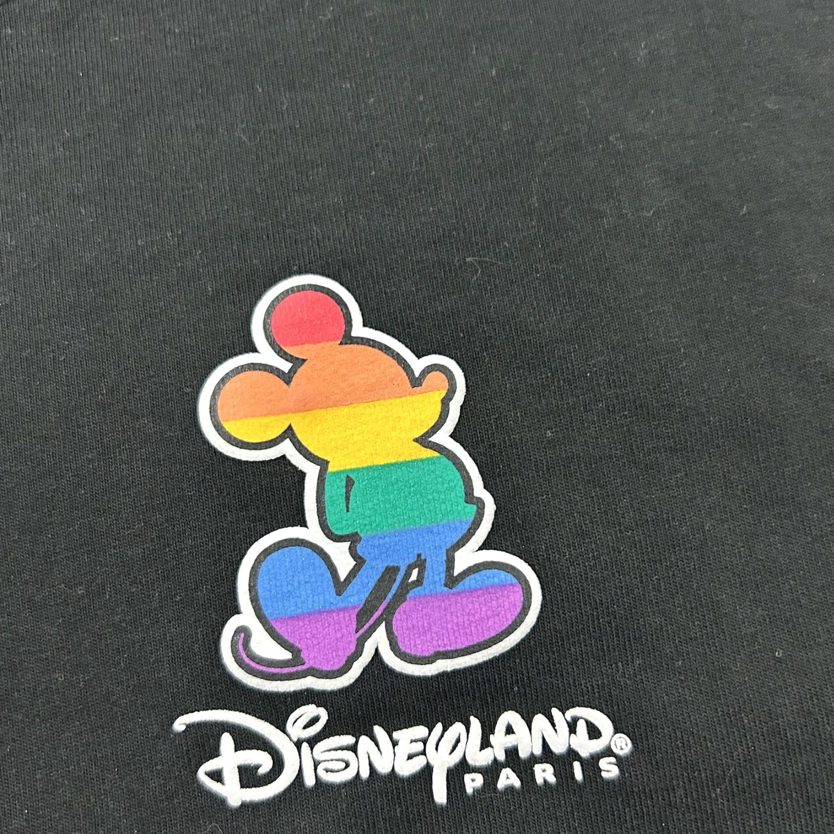 Disney Disneyland Paris Pride Collection Spirit Jersey T Shirt Men's Small Black Mens S Black Rainbow Paris 90s Spirit Jersey Shirt Disney Size US S / EU 44-46 / 1 - 3 Thumbnail