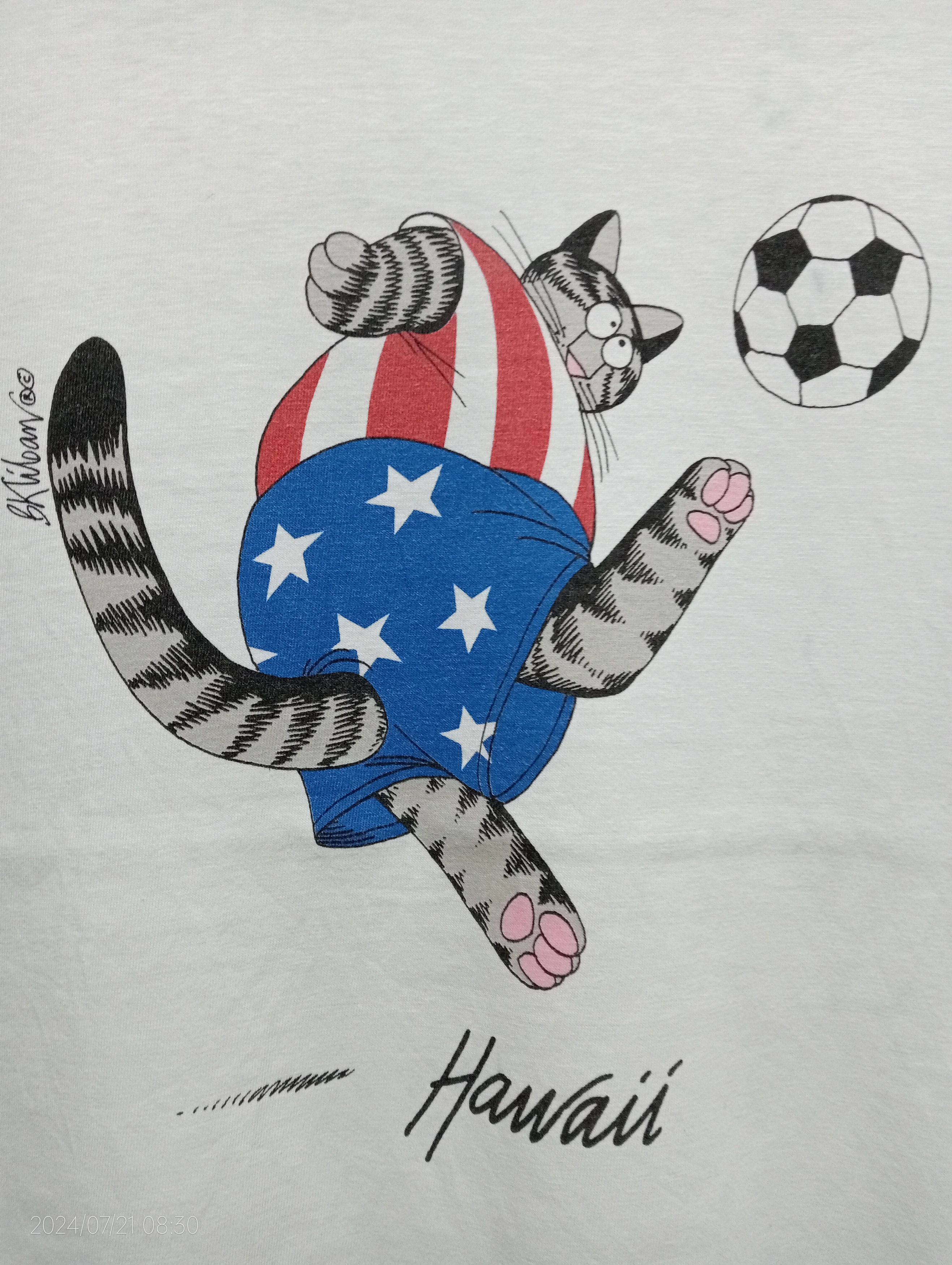 Vintage VTG 90s Single Stitch Bkliban USA Team Soccer Distressed Tee Size US M / EU 48-50 / 2 - 10 Thumbnail