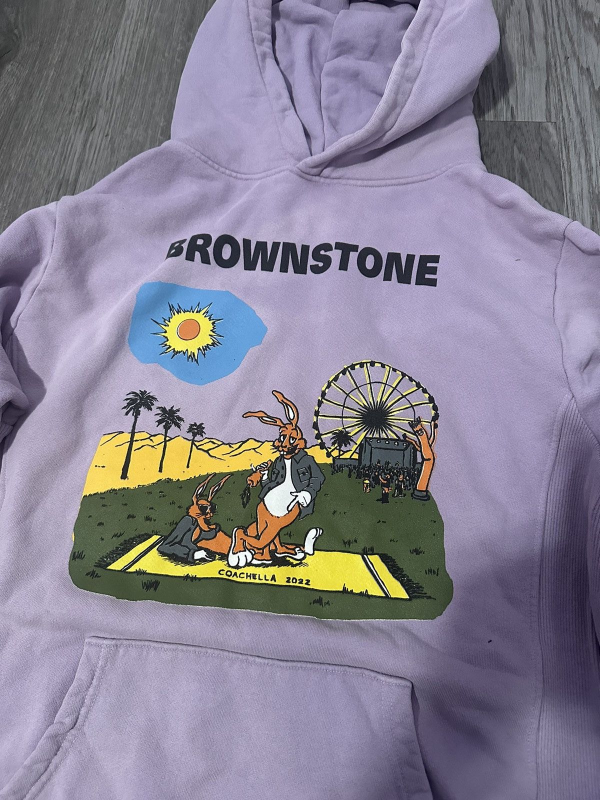 Coachella Coachella brownstone hoodie Size US XL / EU 56 / 4 - 2 Thumbnail