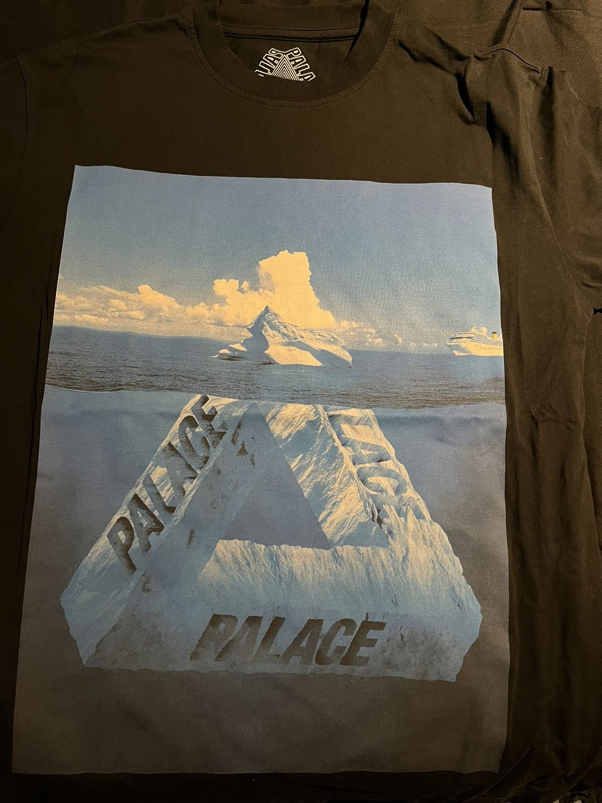 Palace Palace berg ferg tee Size US M / EU 48-50 / 2 - 1 Thumbnail