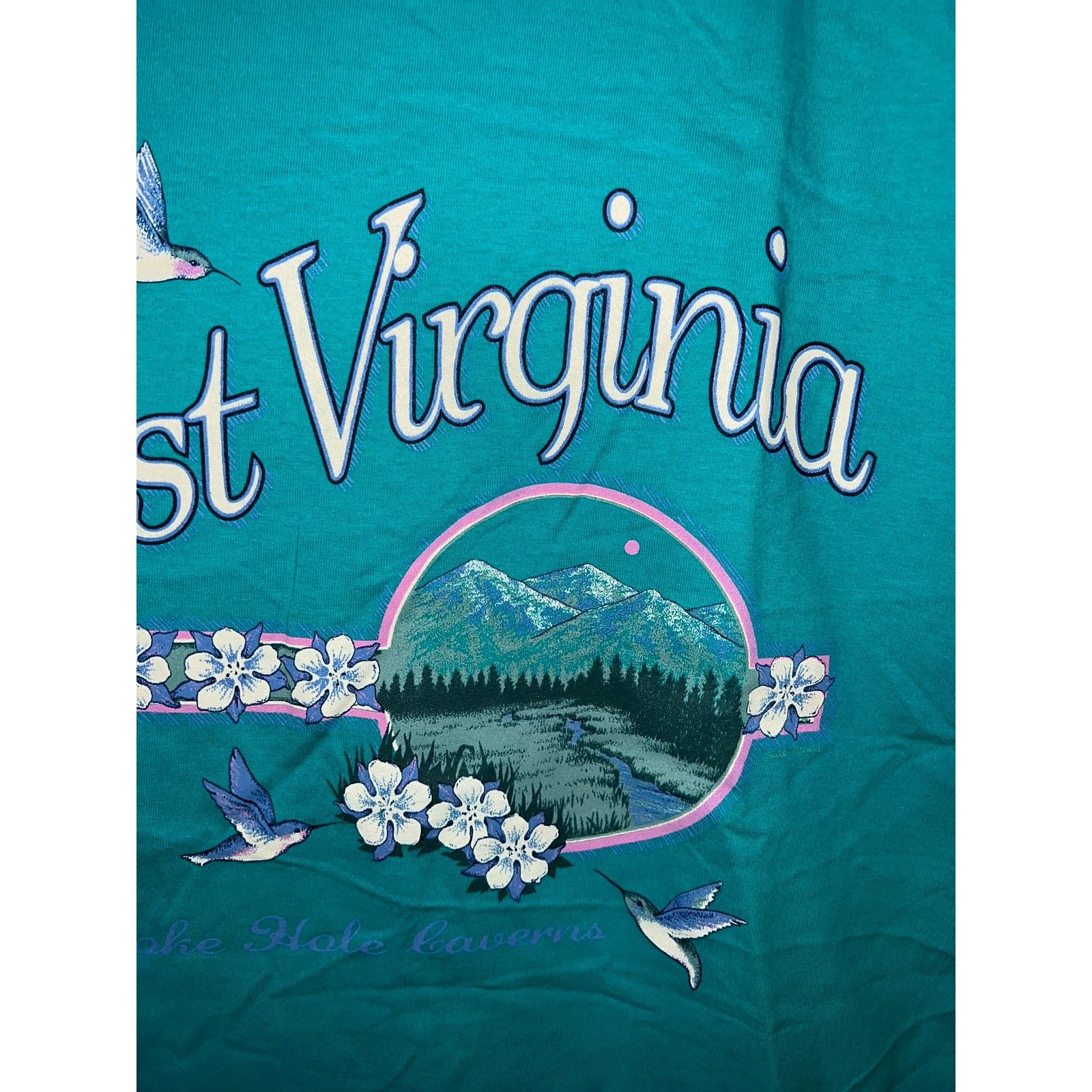 Jerzees Vintage West Virginia Shirt Nature Teal Tee VTG 90s L Size US L / EU 52-54 / 3 - 3 Thumbnail