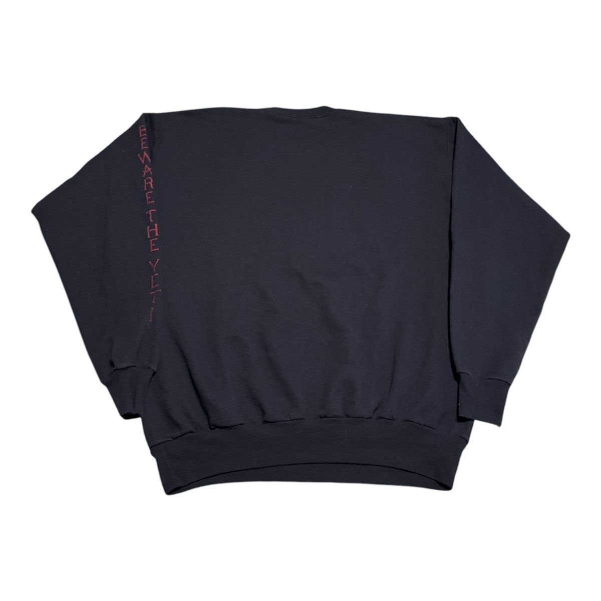 Disney Expedition Everest Forbidden Mountain Sweatshirt Adult L Size US L / EU 52-54 / 3 - 3 Thumbnail