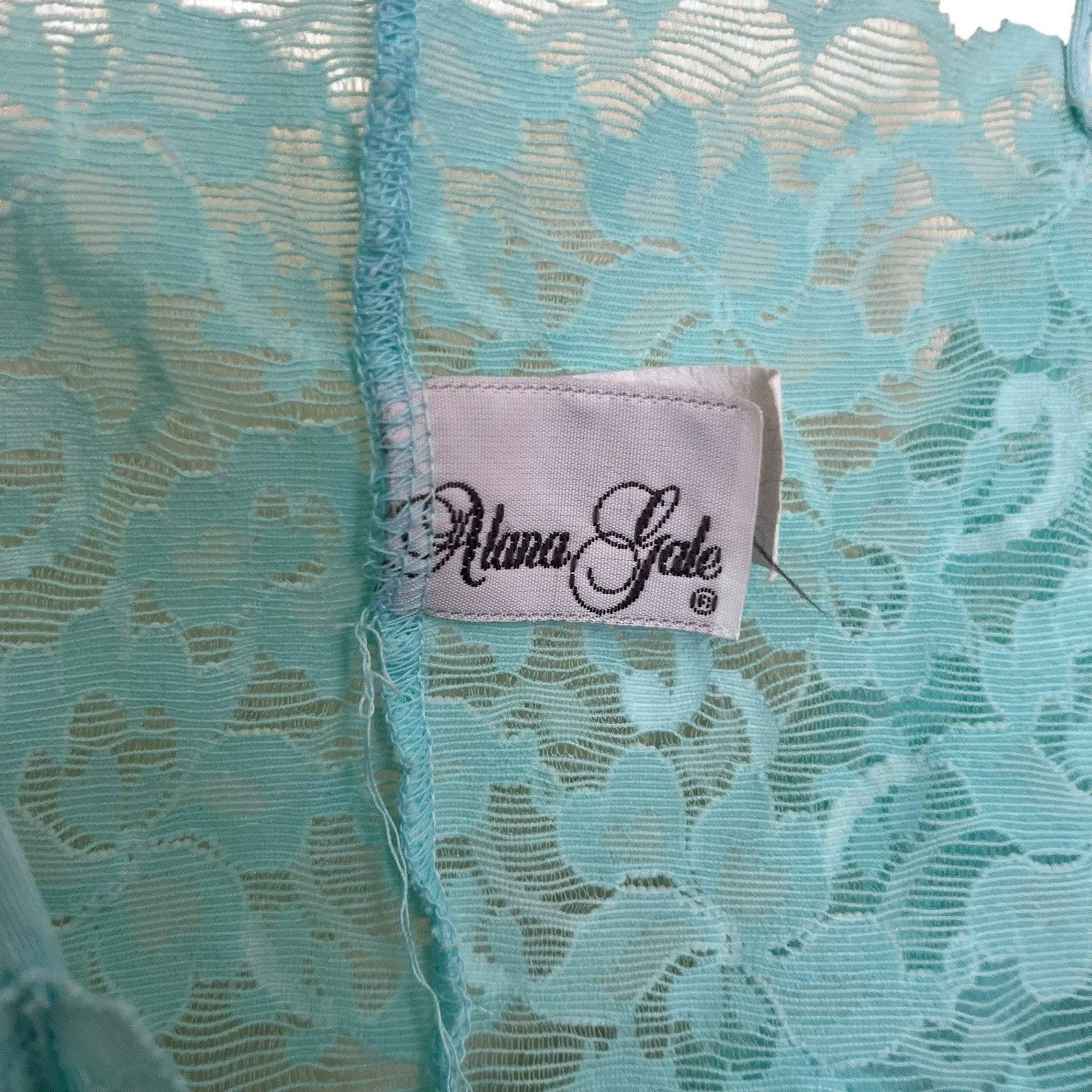 Vintage Alana Gale | Vintage Aqua Blue French Cut Panties Bralette Size ONE SIZE - 4 Thumbnail