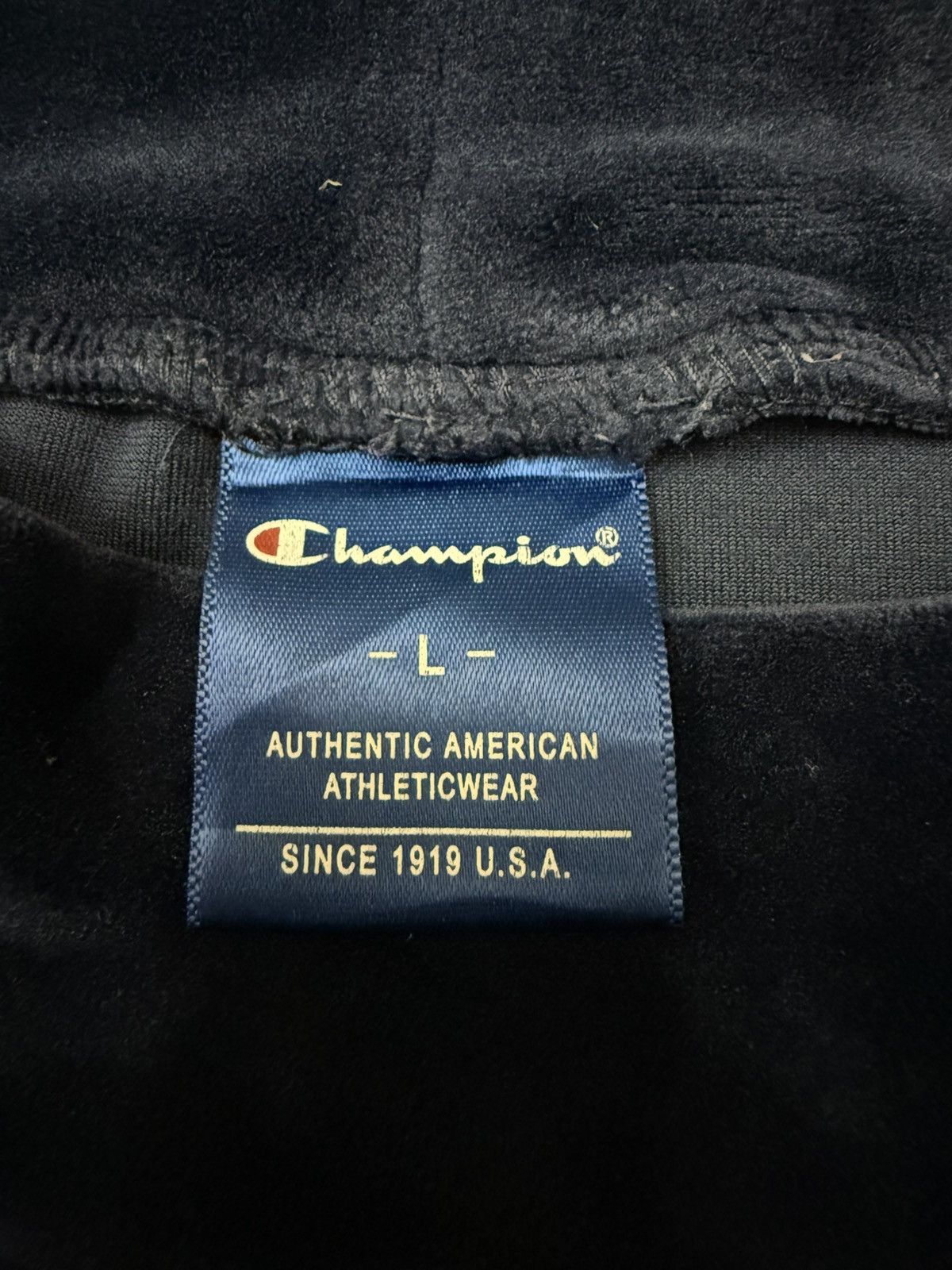 Champion × Japanese Brand Champion Velvet Cropped Sweatshirt Size L / US 10 / IT 46 - 5 Thumbnail