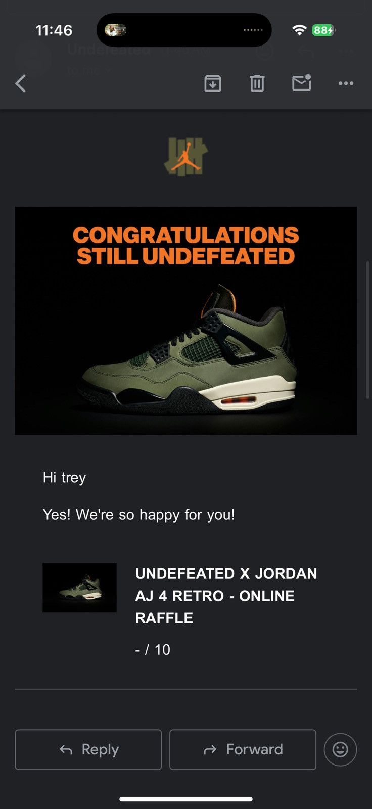 Jordan Brand Undefeated Retro 4s Size US 10 / EU 43 - 1 Preview