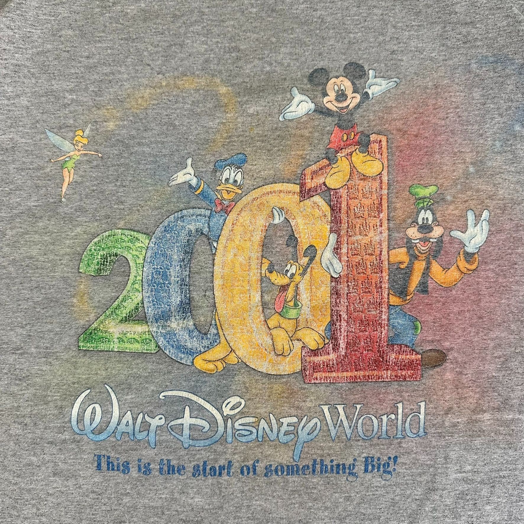 Disney Vintage Y2K Walt Disney World 2001 T-Shirt Mickey Gray L Col Size US L / EU 52-54 / 3 - 2 Thumbnail