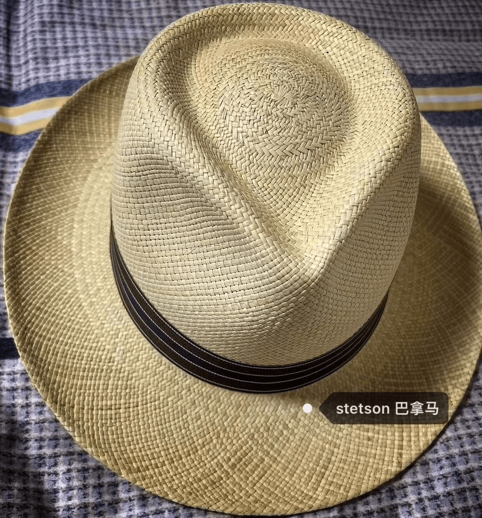Stetson Stetson Panama Straw Hat for Summer Size ONE SIZE - 1 Thumbnail