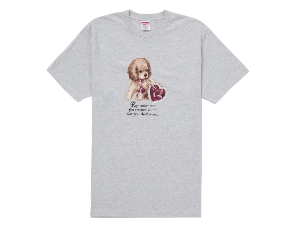 Supreme Dust Tee /