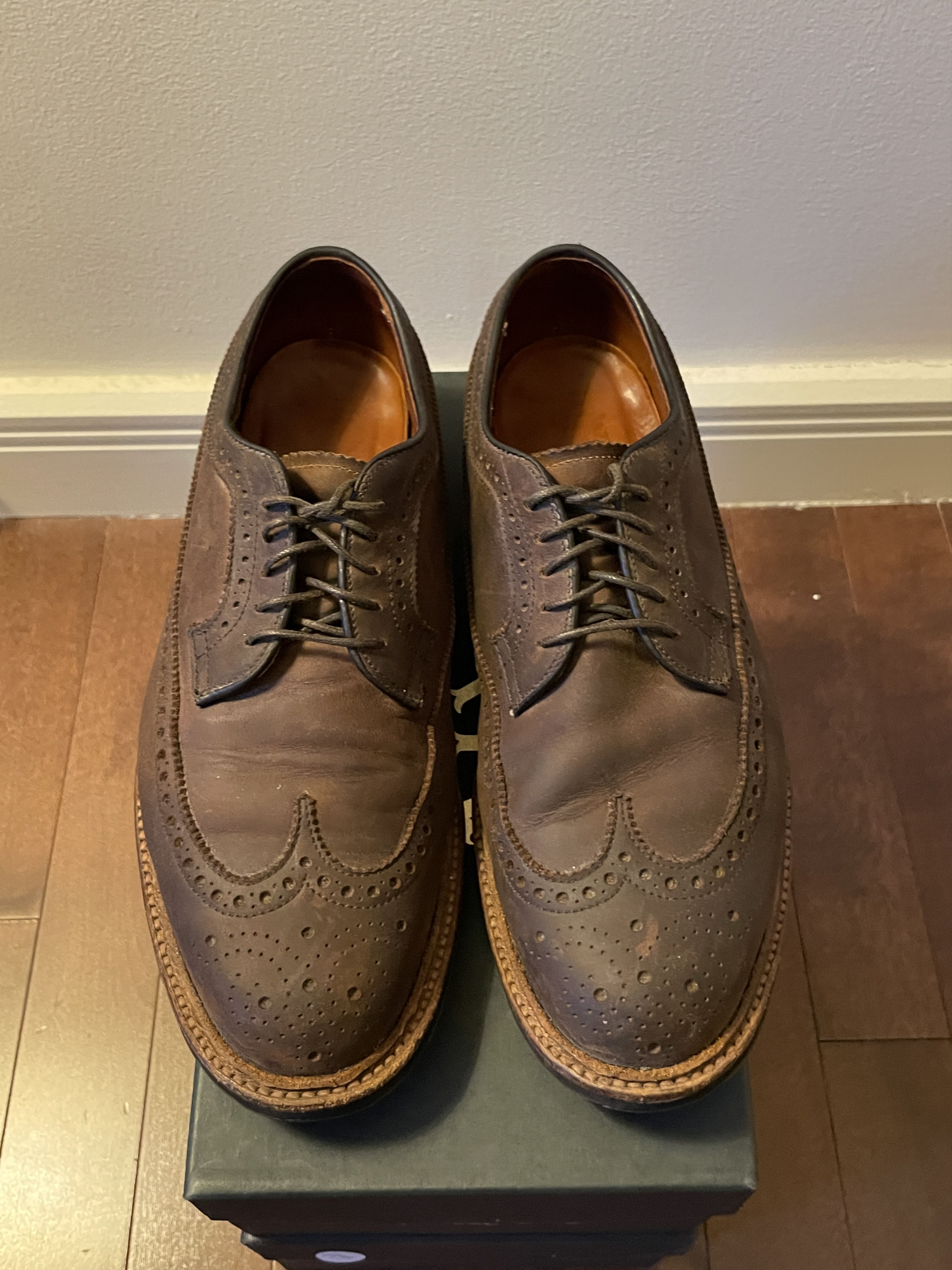 image of Alden Longwing Blutcher Us 7.5 Shoes in Tobacco Brown, Men's