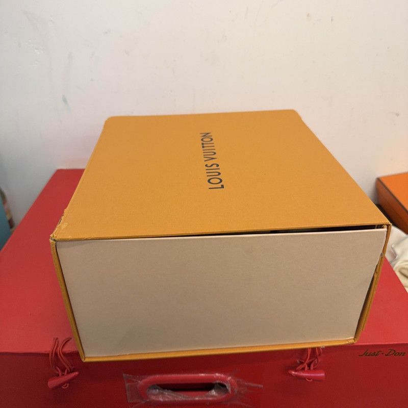 Louis Vuitton Nigo x Louis Vuitton Trainer Low Top Sneakers -2508 Size US 9.5 / EU 42-43 - 6 Thumbnail