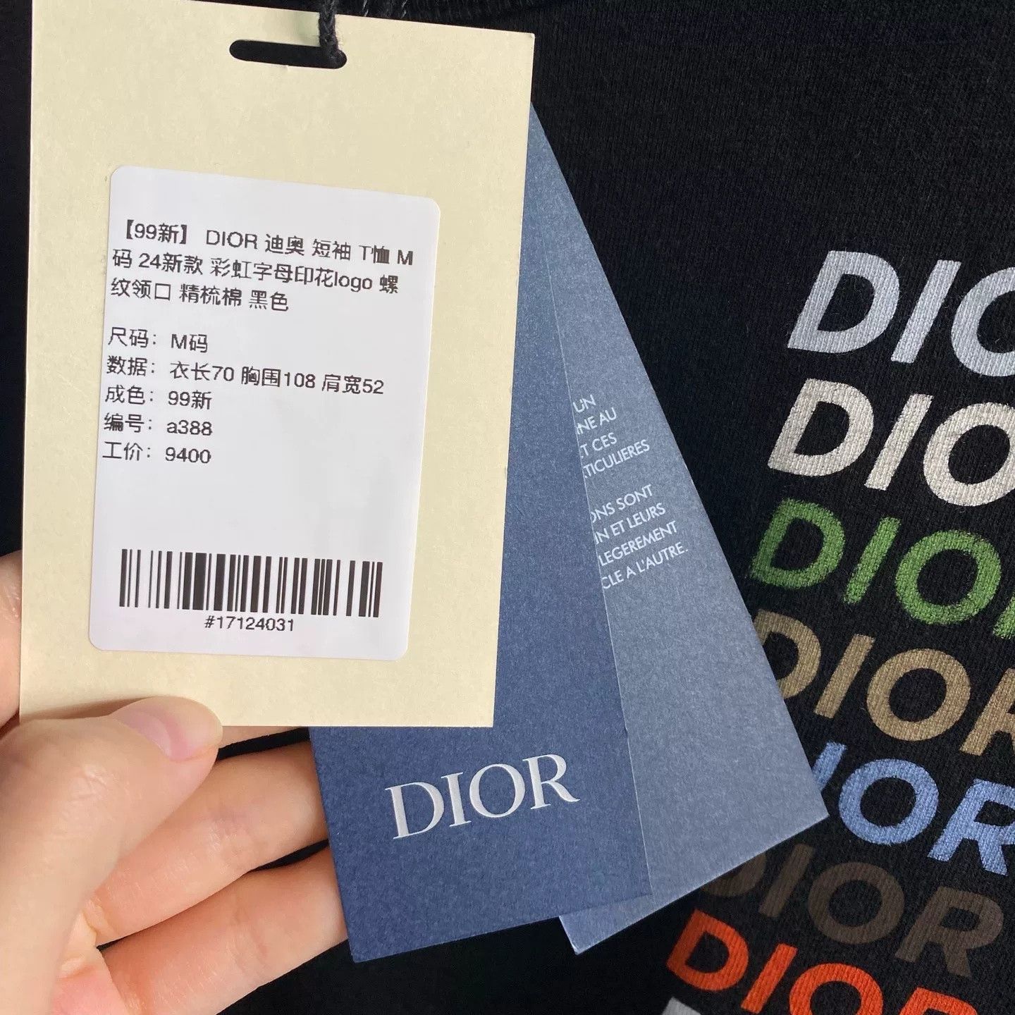 Dior Dior 2024 Rainbow Logo Black T-Shirt M Size US M / EU 48-50 / 2 - 4 Thumbnail
