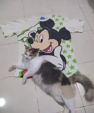 Disney Tokyo Disney Resort Mickey Mouse Big Print Star Graphic Size US M / EU 48-50 / 2 - 1 Thumbnail