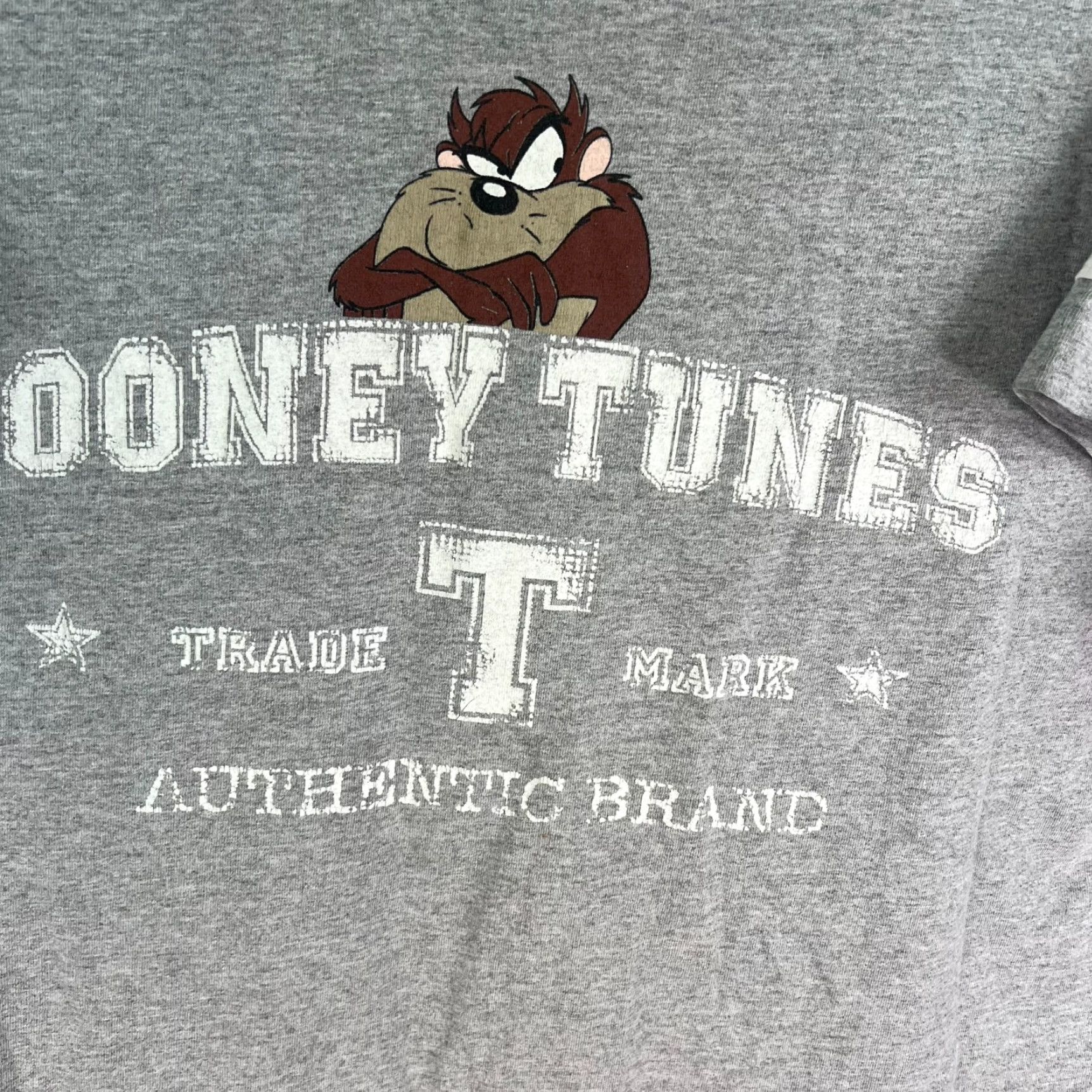 Vintage Vintage Looney Tunes TAZ T Shirt Womens Size 14W Gray Size XL / US 12-14 / IT 48-50 - 2 Thumbnail