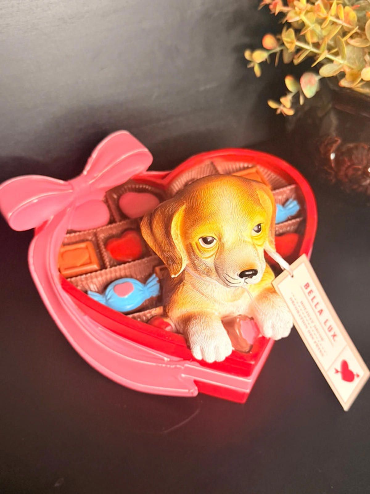 Other Bella Lux Valentine Puppy Chocolate Box Heart Decor NWT Size ONE SIZE - 7 Thumbnail