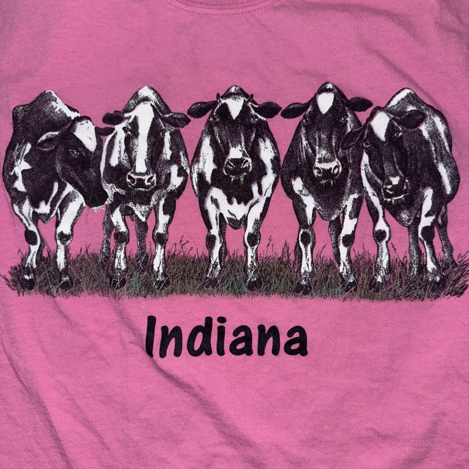 Band Tees Vintage Indiana Cow T-Shirt Small 17x25 Pink Double Sided Size US S / EU 44-46 / 1 - 2 Thumbnail