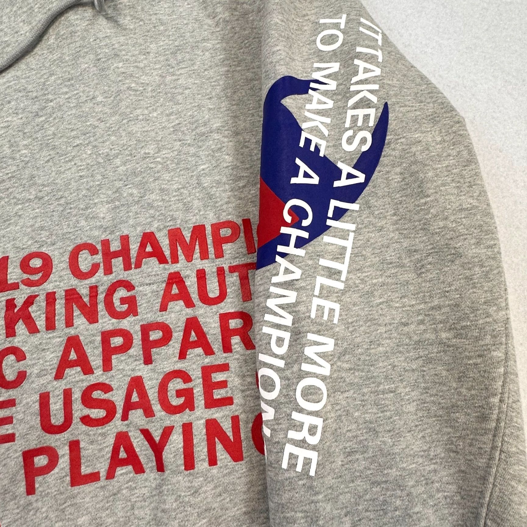 Champion Champion Hoodie Mens Medium Promo Behind The Brand Spell Out Heavy Size US M / EU 48-50 / 2 - 5 Thumbnail