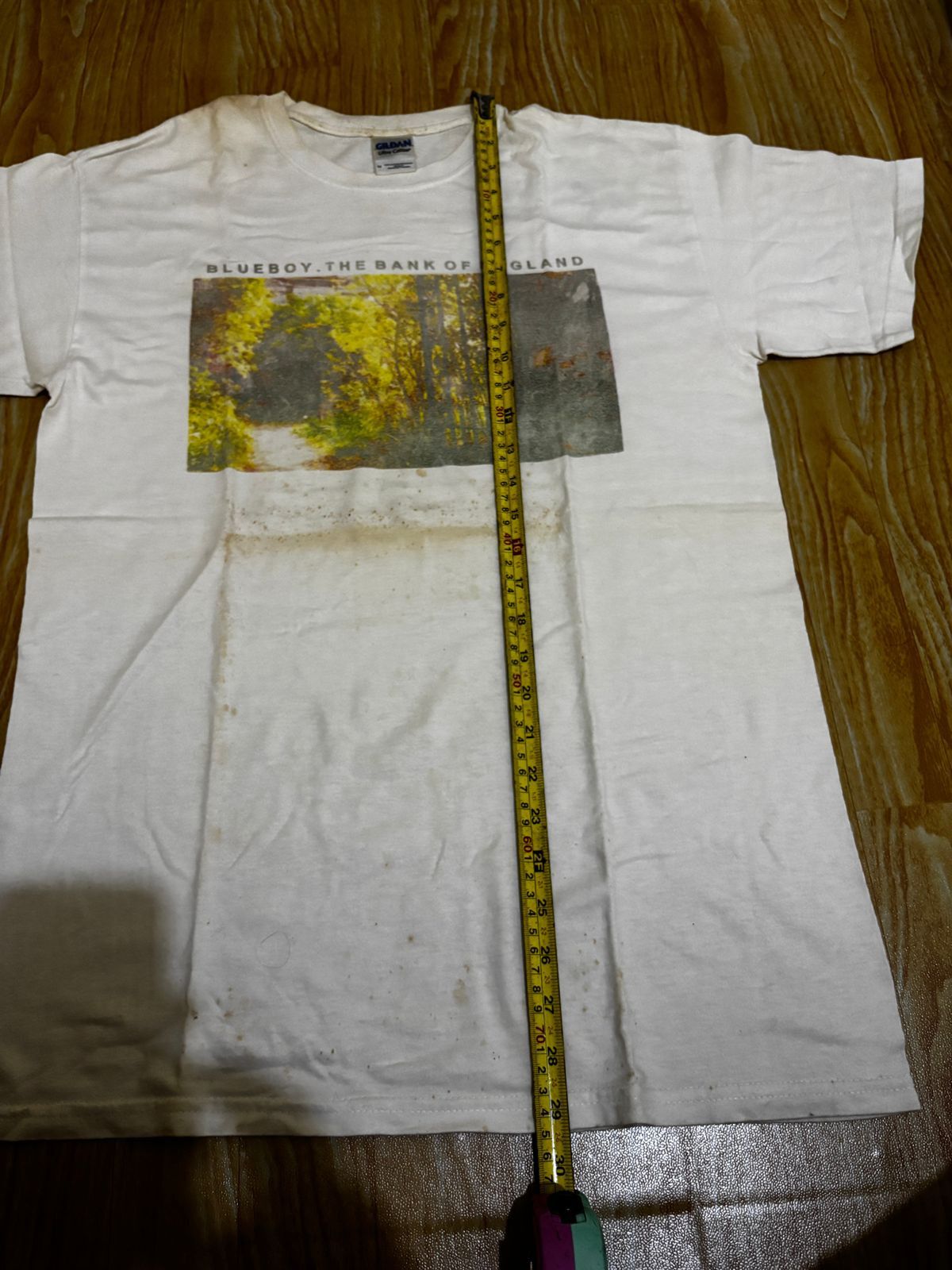 Band Tees Vtg Y2k Blueboy the field mice The Orchids sarah record Size US M / EU 48-50 / 2 - 7 Thumbnail