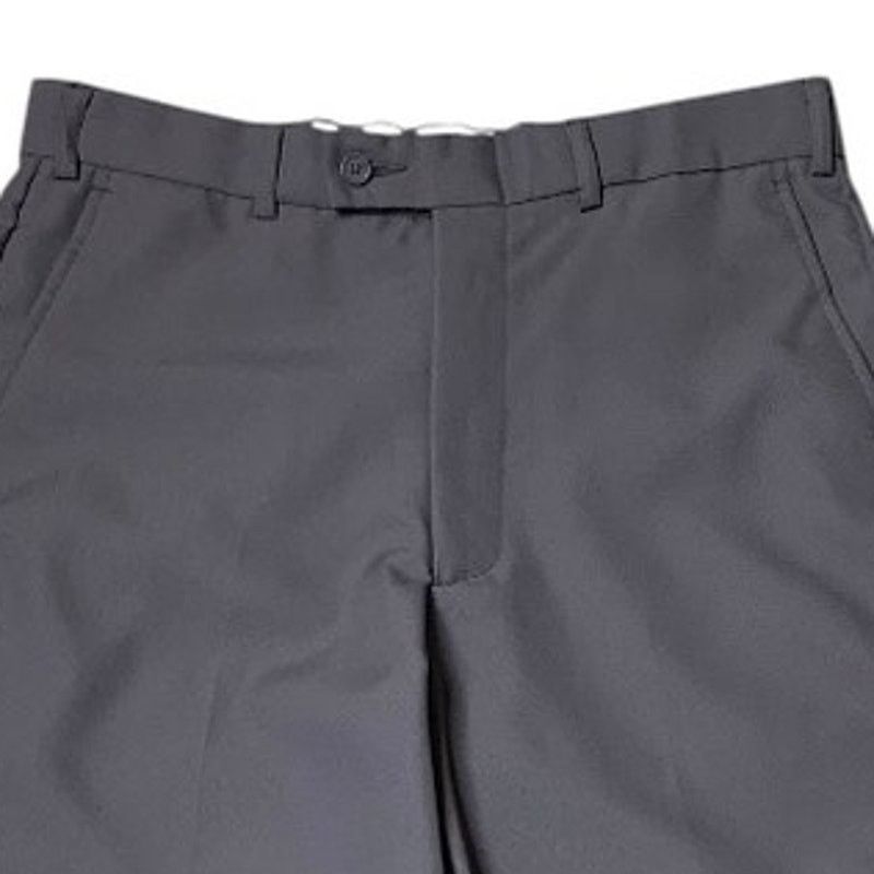 Haband Haband Men's 34 Dress Pants Gray Perfect Fit Inseam 30 Size US 34 / EU 50 - 2 Thumbnail