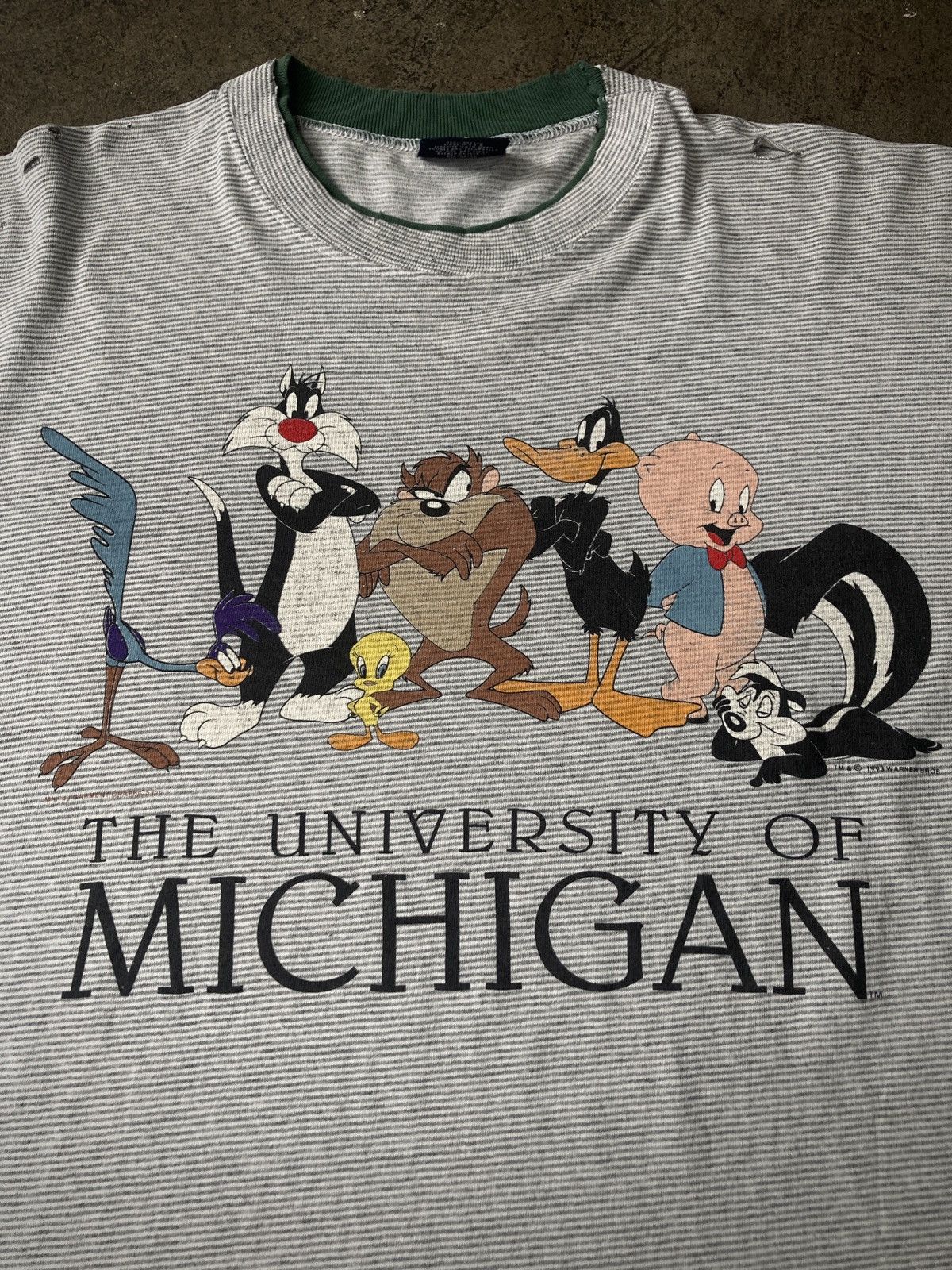 Vintage Vintage ‘93 University of Michigan Warner Bros Size US L / EU 52-54 / 3 - 4 Thumbnail